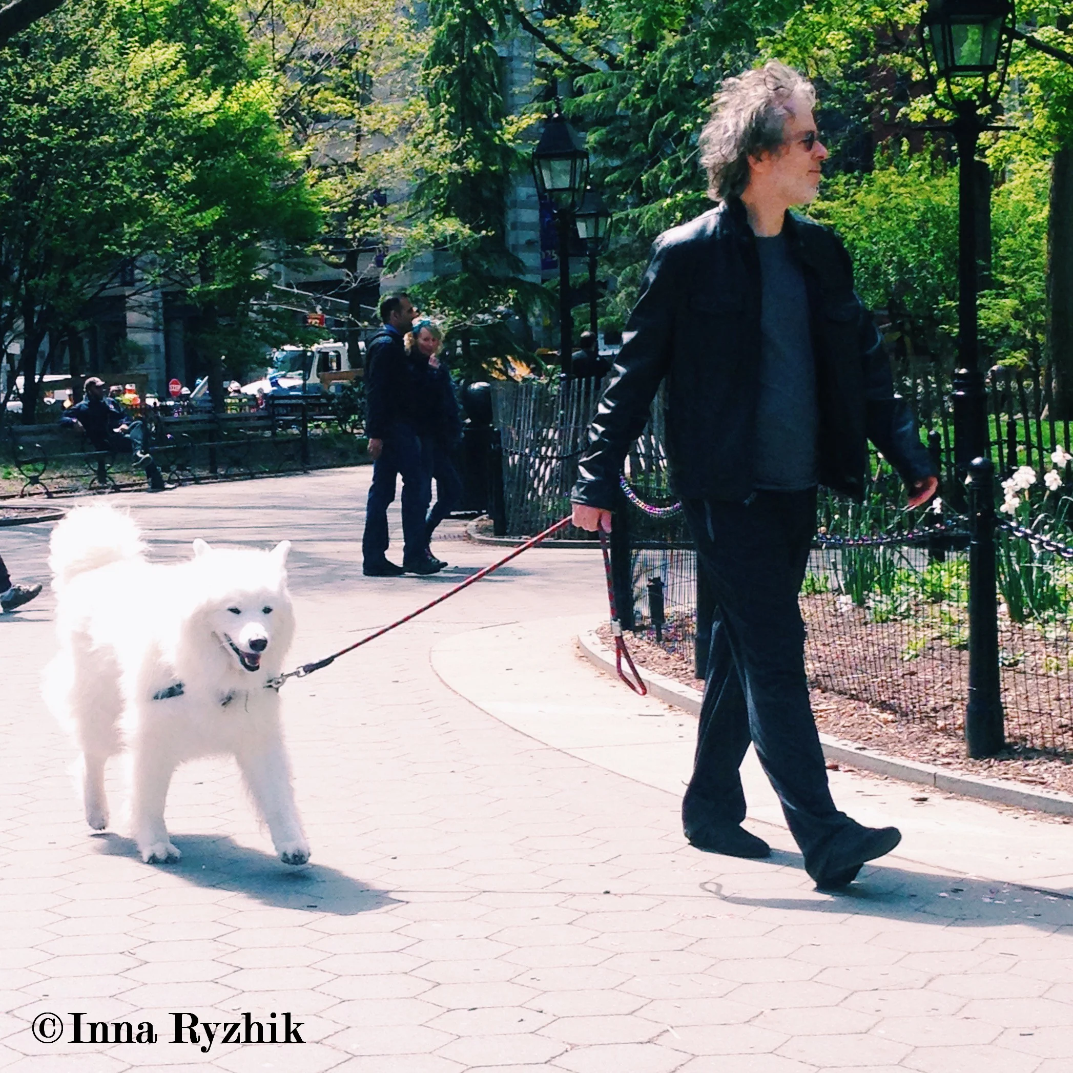 Walk - Washington Square Park