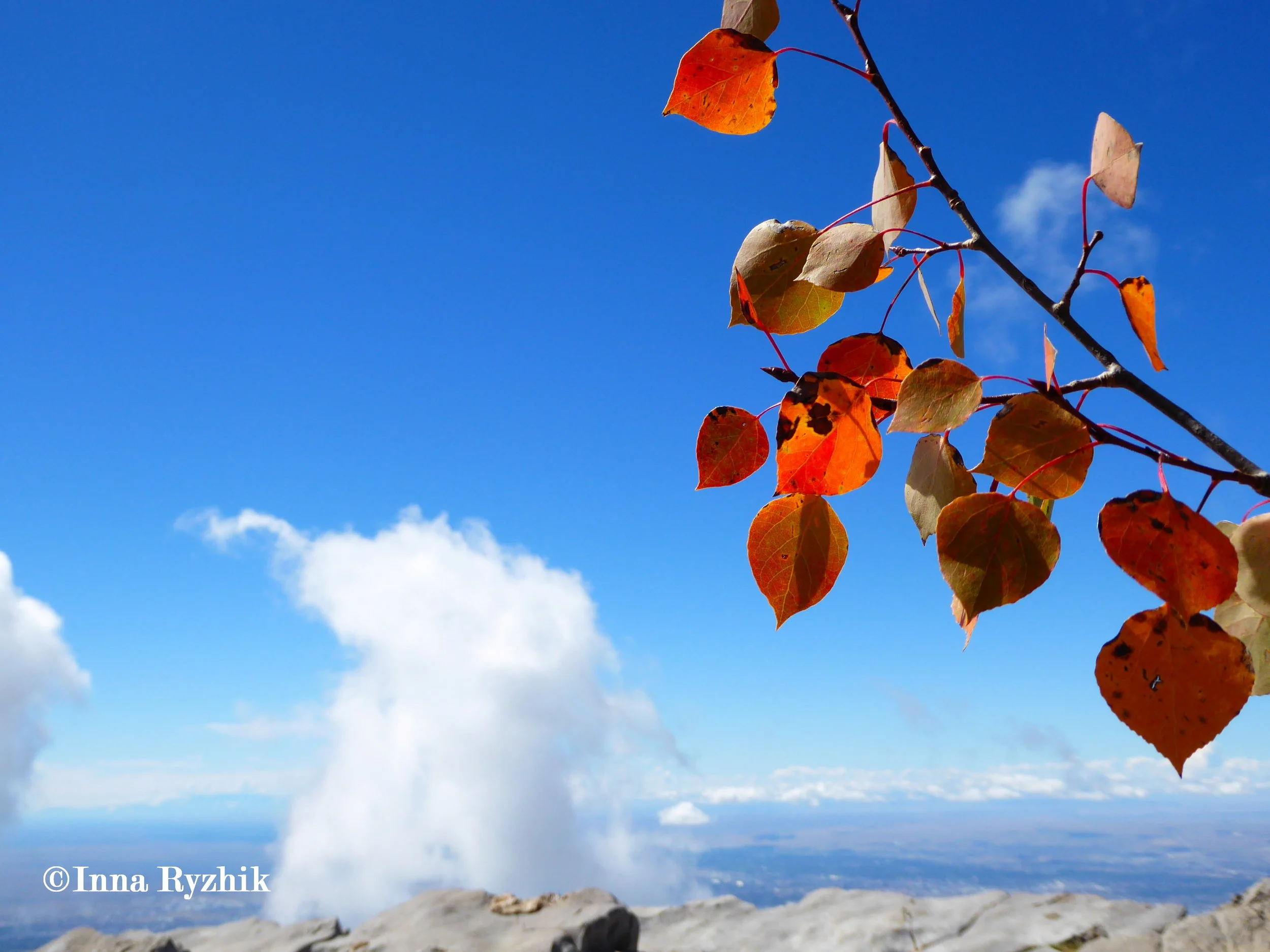 Cloud Movement - Sandia Crest Trail
