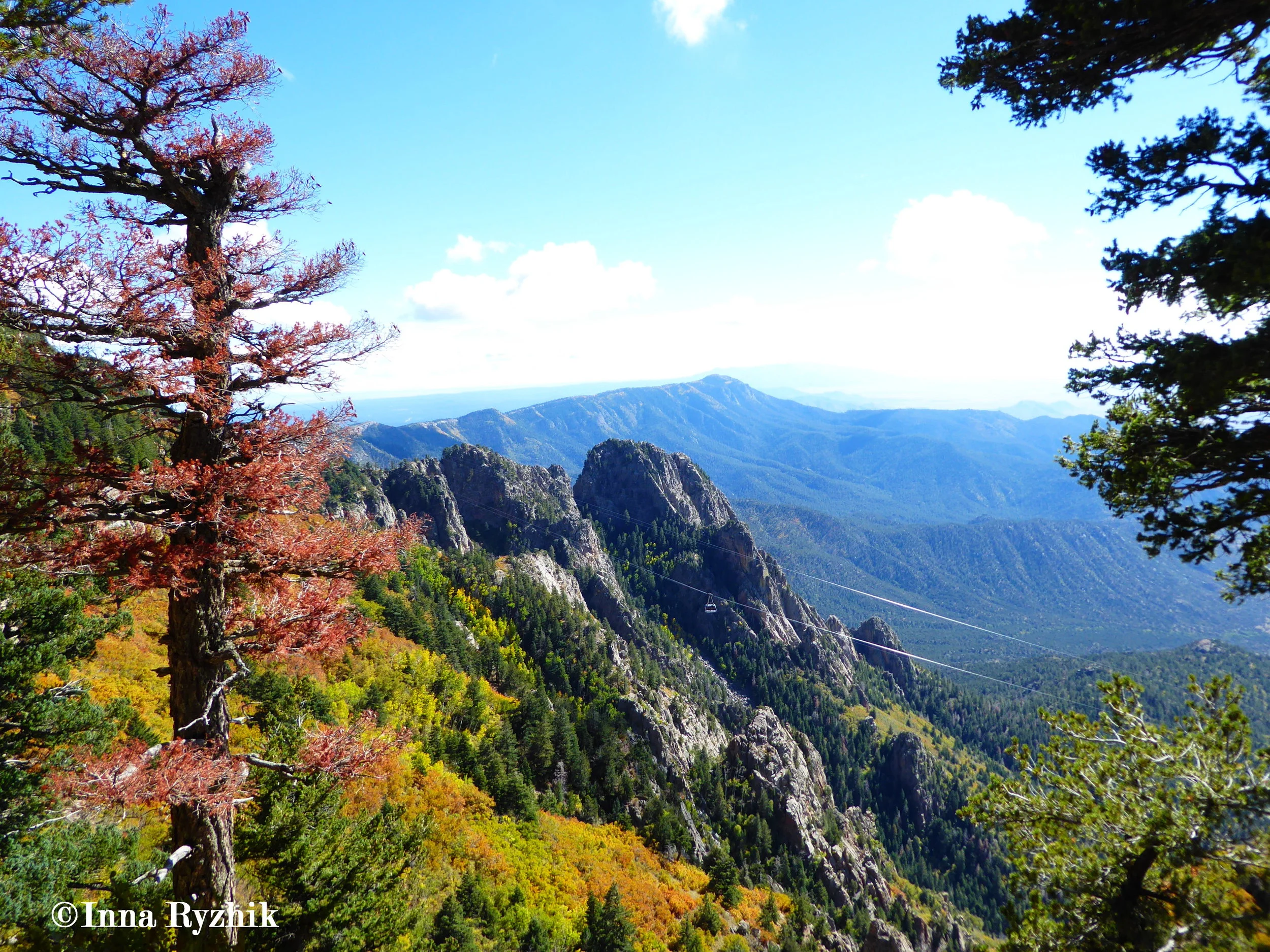 La Luz Trail