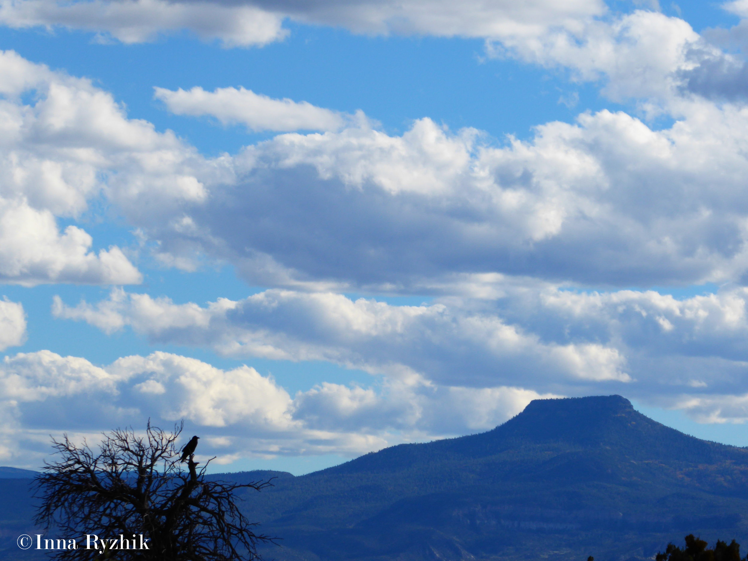 Cerro Pedernal, from Ghost Ranch Abiquiu. Georgia O'Keefe claimed the mountain as her own.