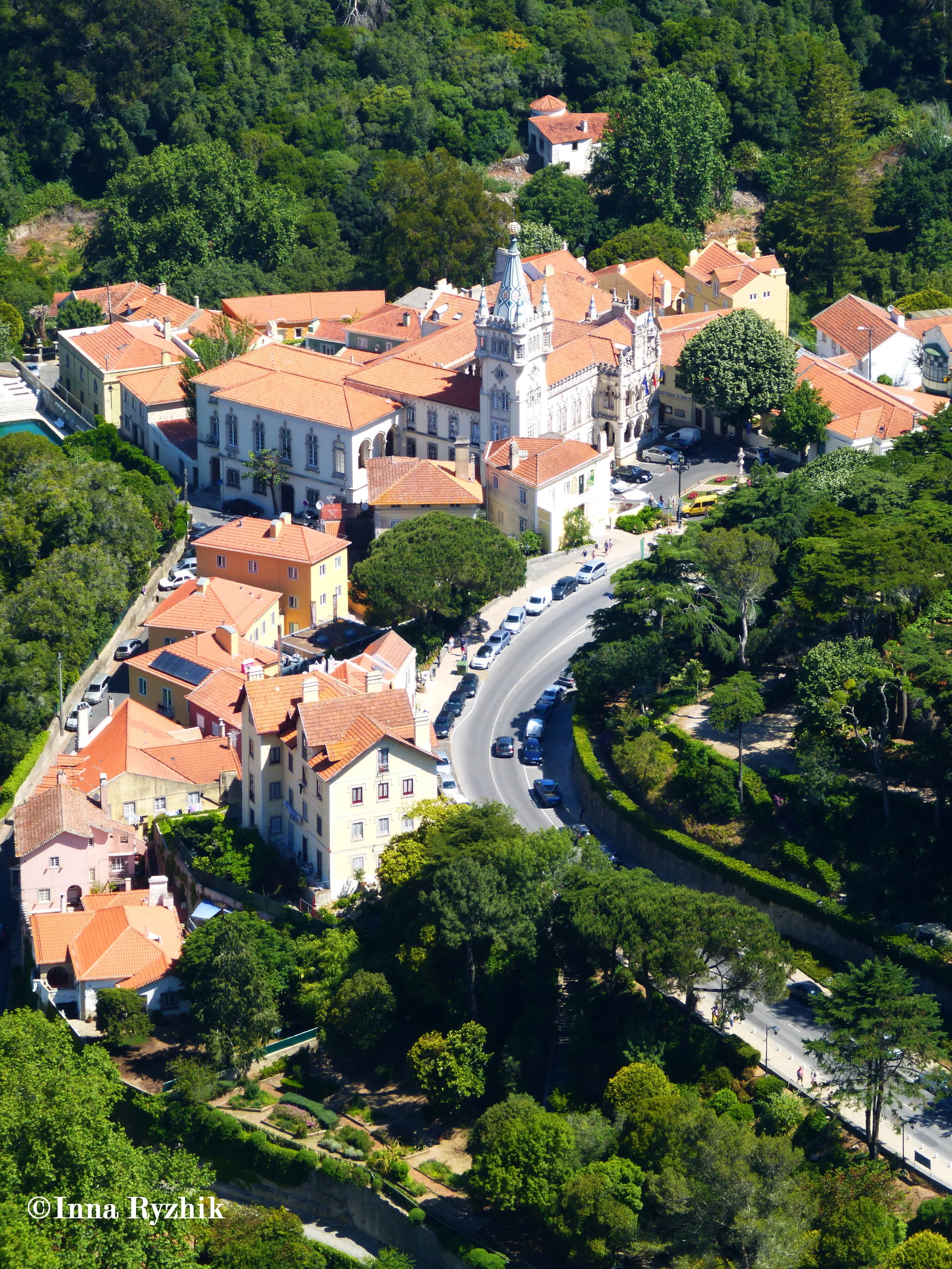 P1030494C.jpg