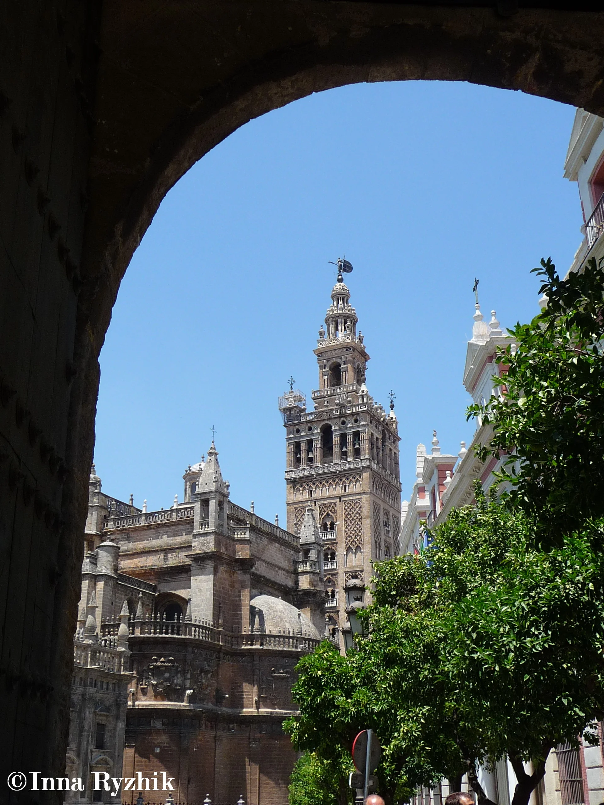P1010855C.jpg