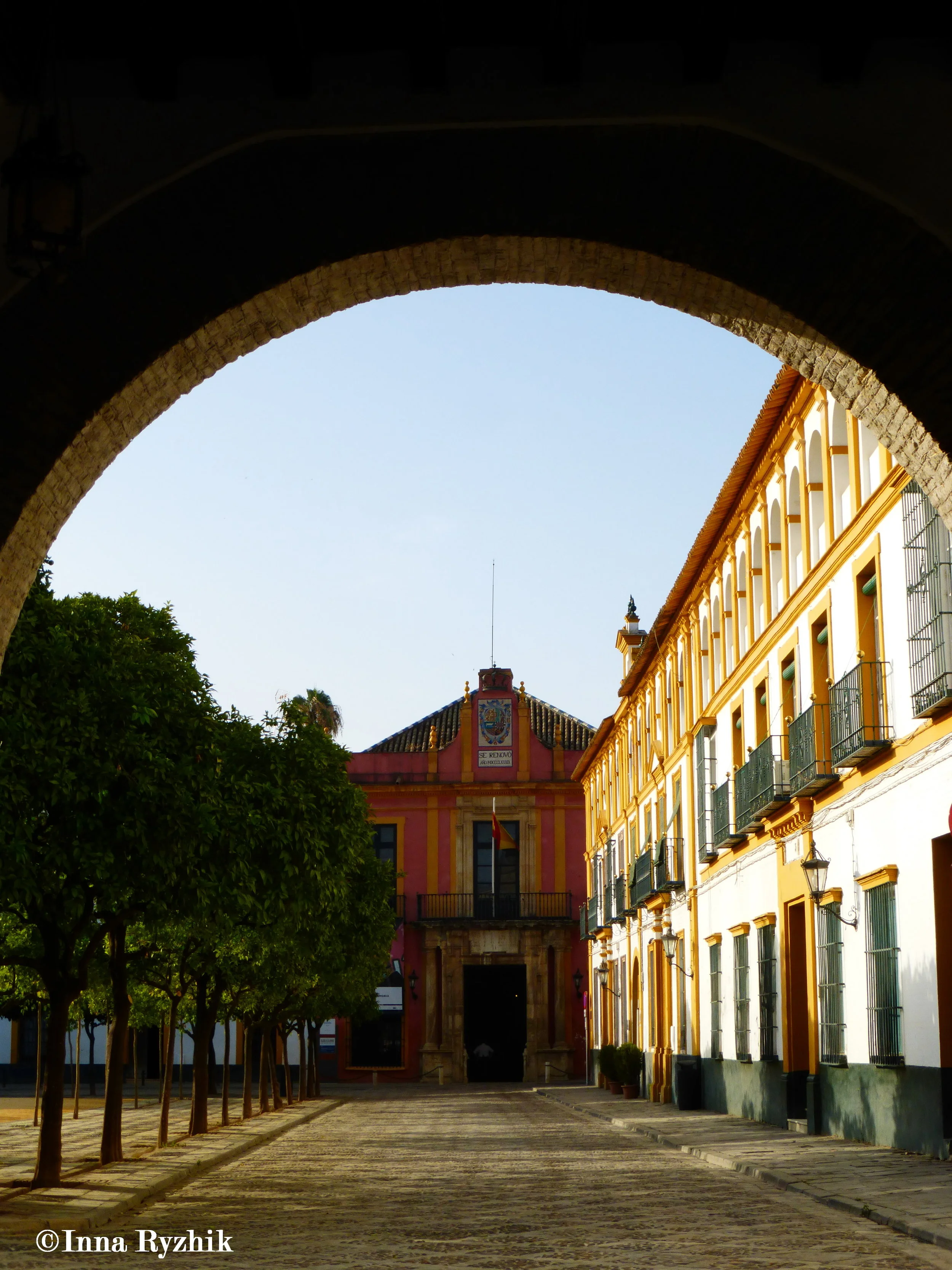 P1040903C.jpg