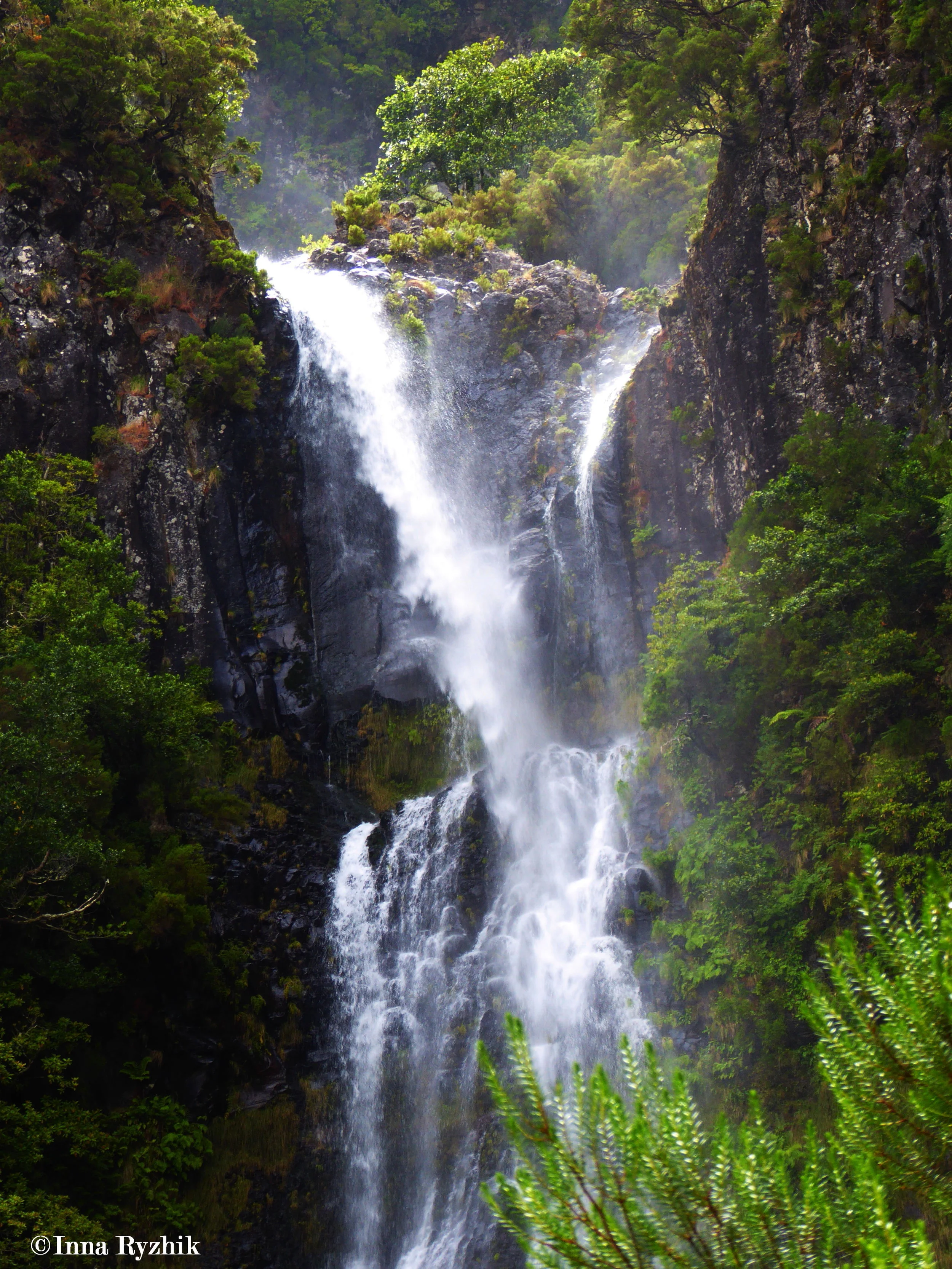 Levada Hike - Risco Waterfall 