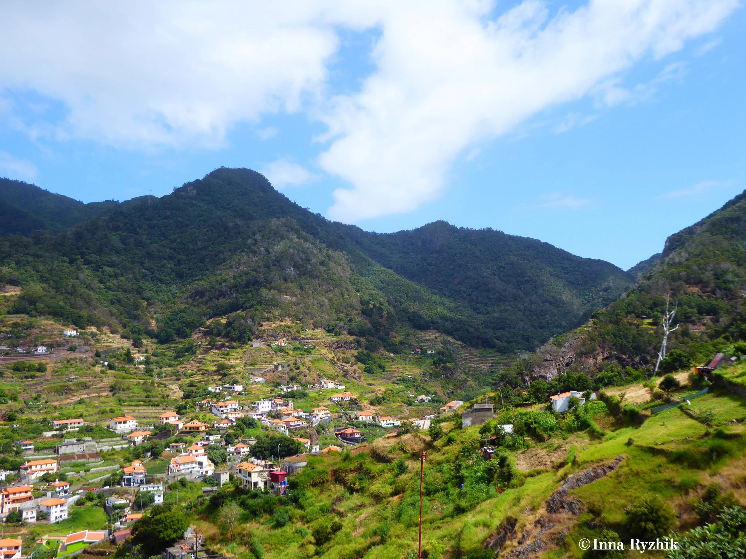Agriculture - Machico 