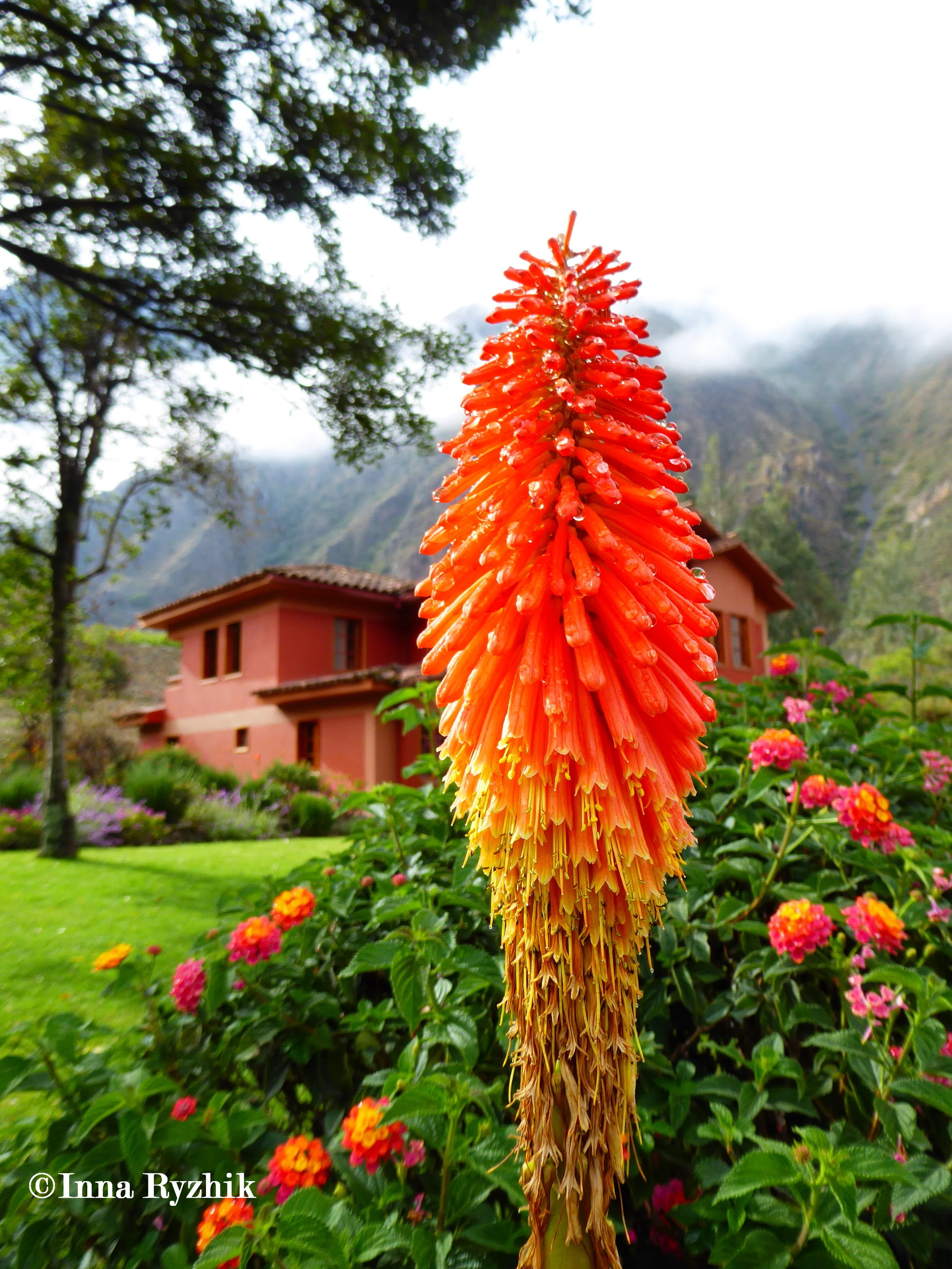 Pakaritampu - Ollantaytambo