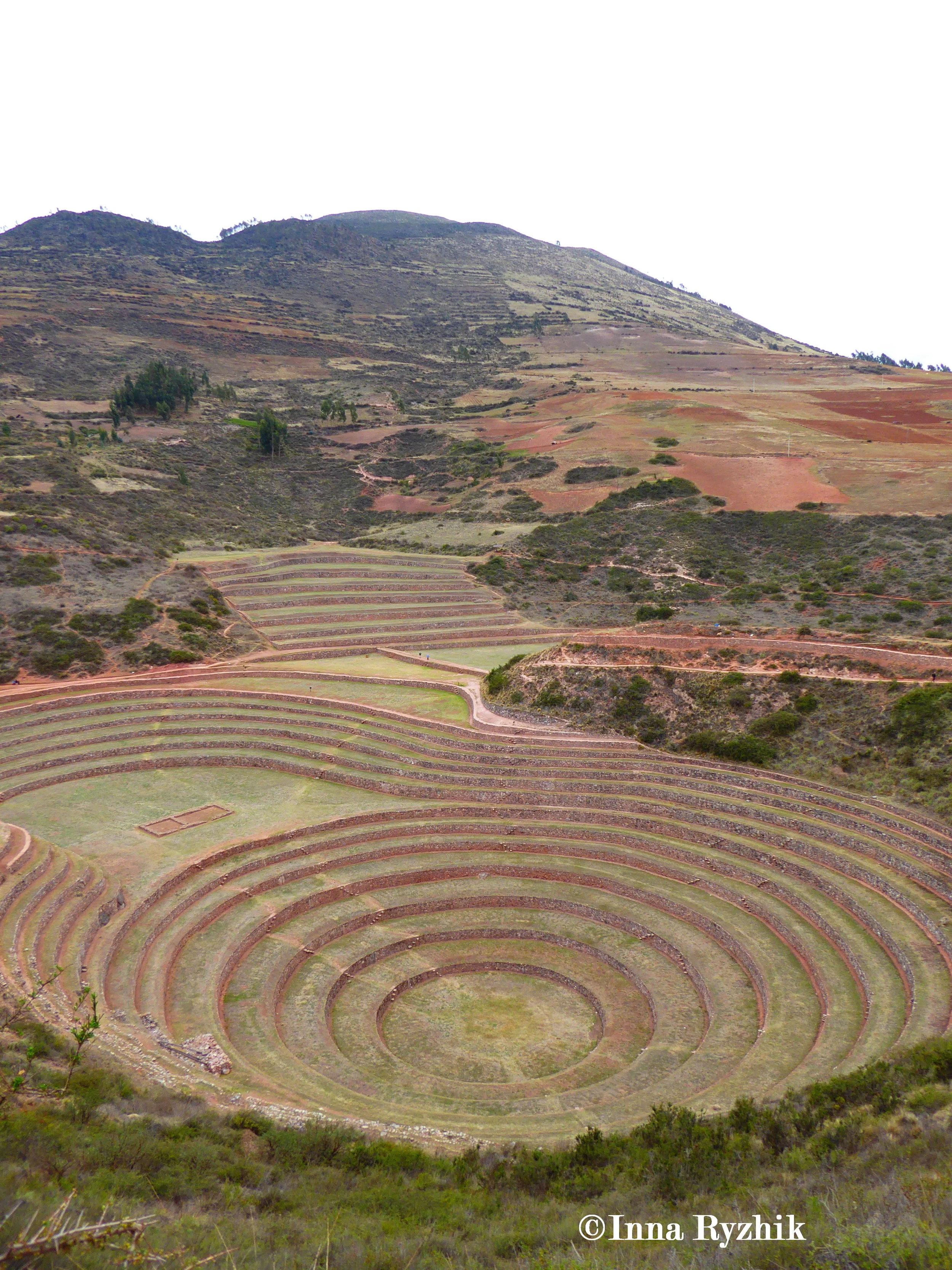 Moray