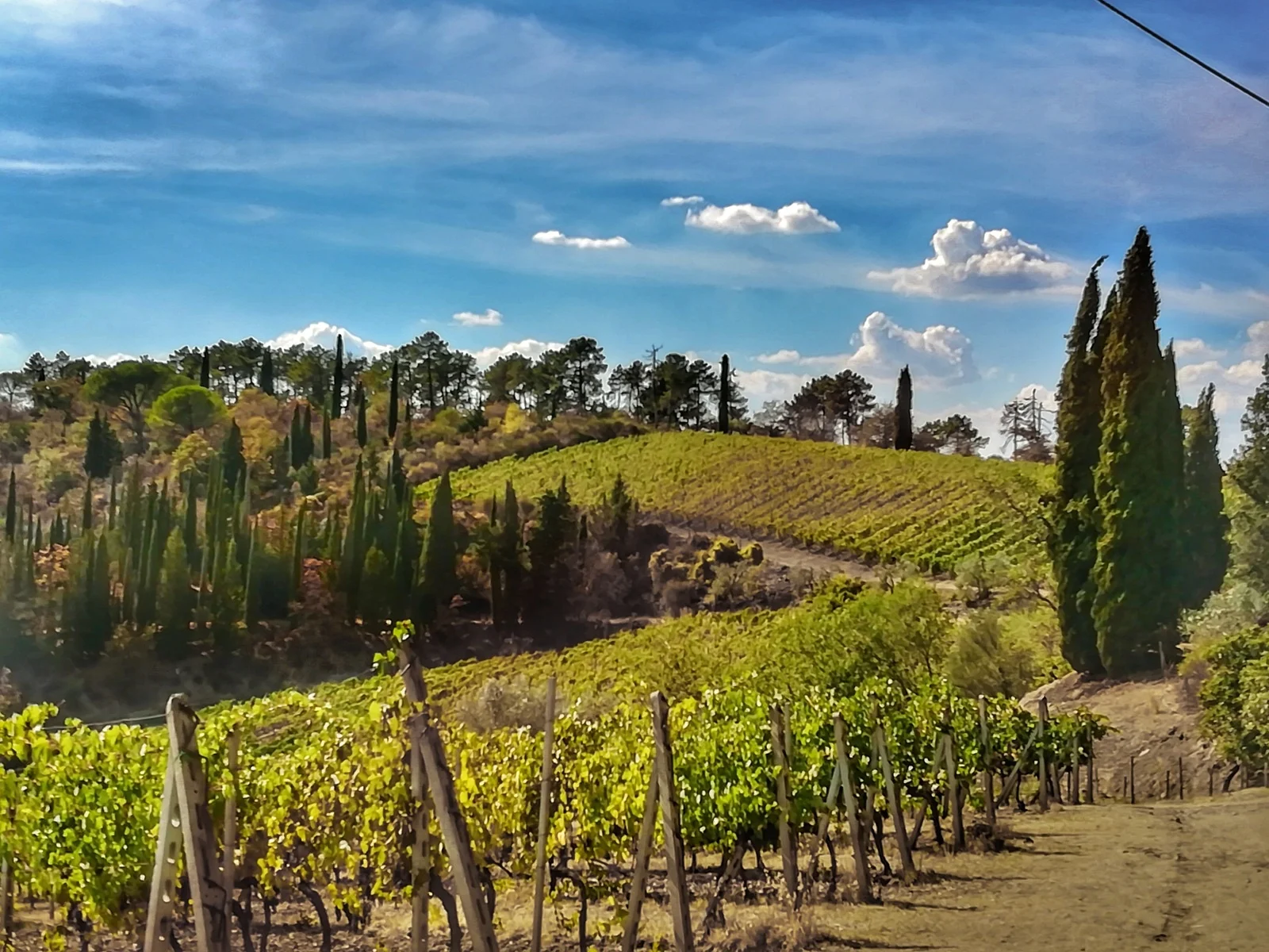 Tuscan hills covered in wineries. 