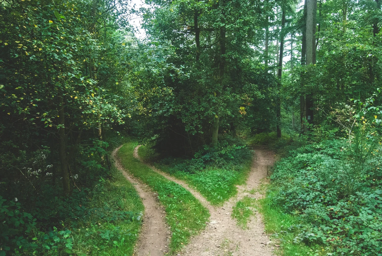 Decisions_jens-lelie-15662-unsplash.jpg