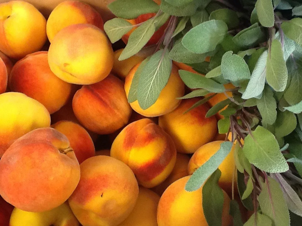 peaches from Kathy.jpeg