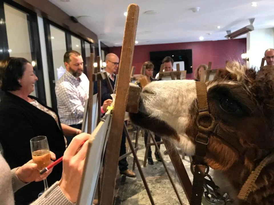 DOOLITTLE DRAWING SESSION