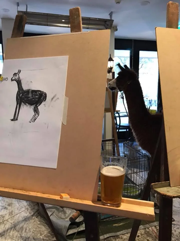 DOOLITTLE, ACHIEVE SO MUCH