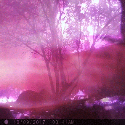 unnamed.gif