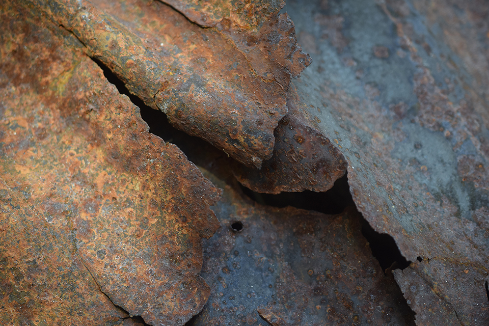   Alpine Rust   Photograph  by Dan Lythcott-Haims  Size: 30 x 20"   $500.00  