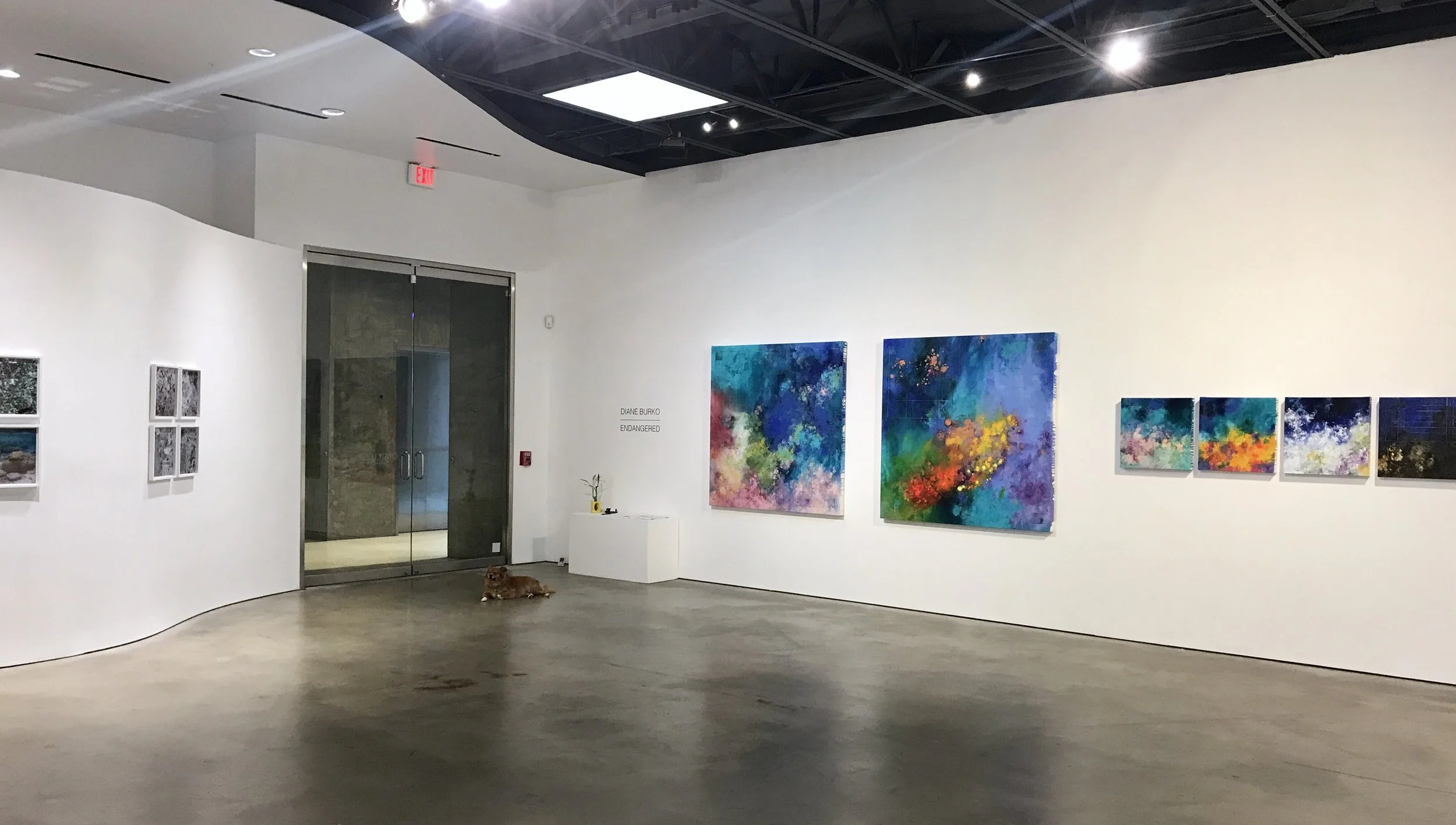 From Diane Burko (solo exhibition)
