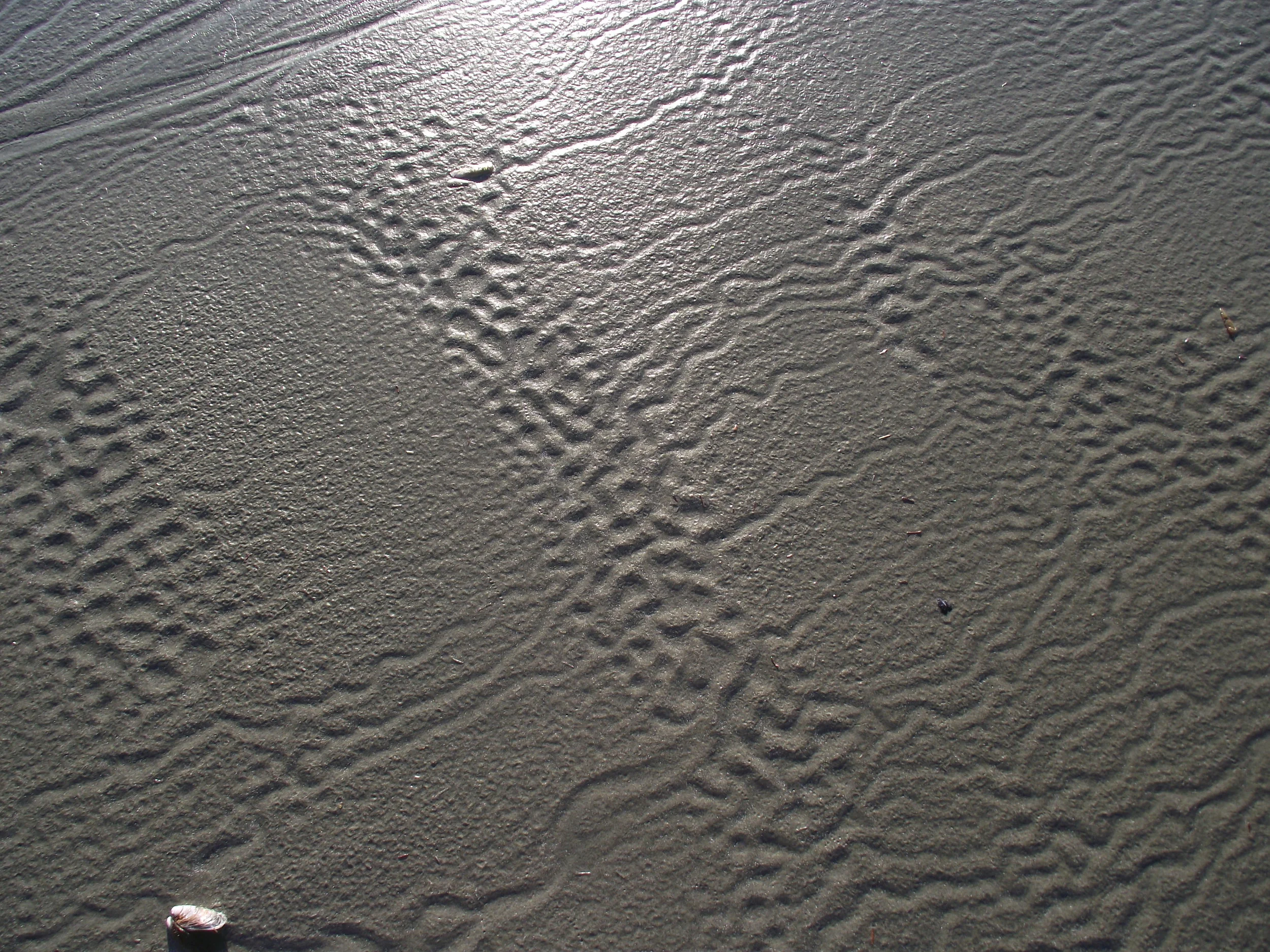 DSCF3375.JPG