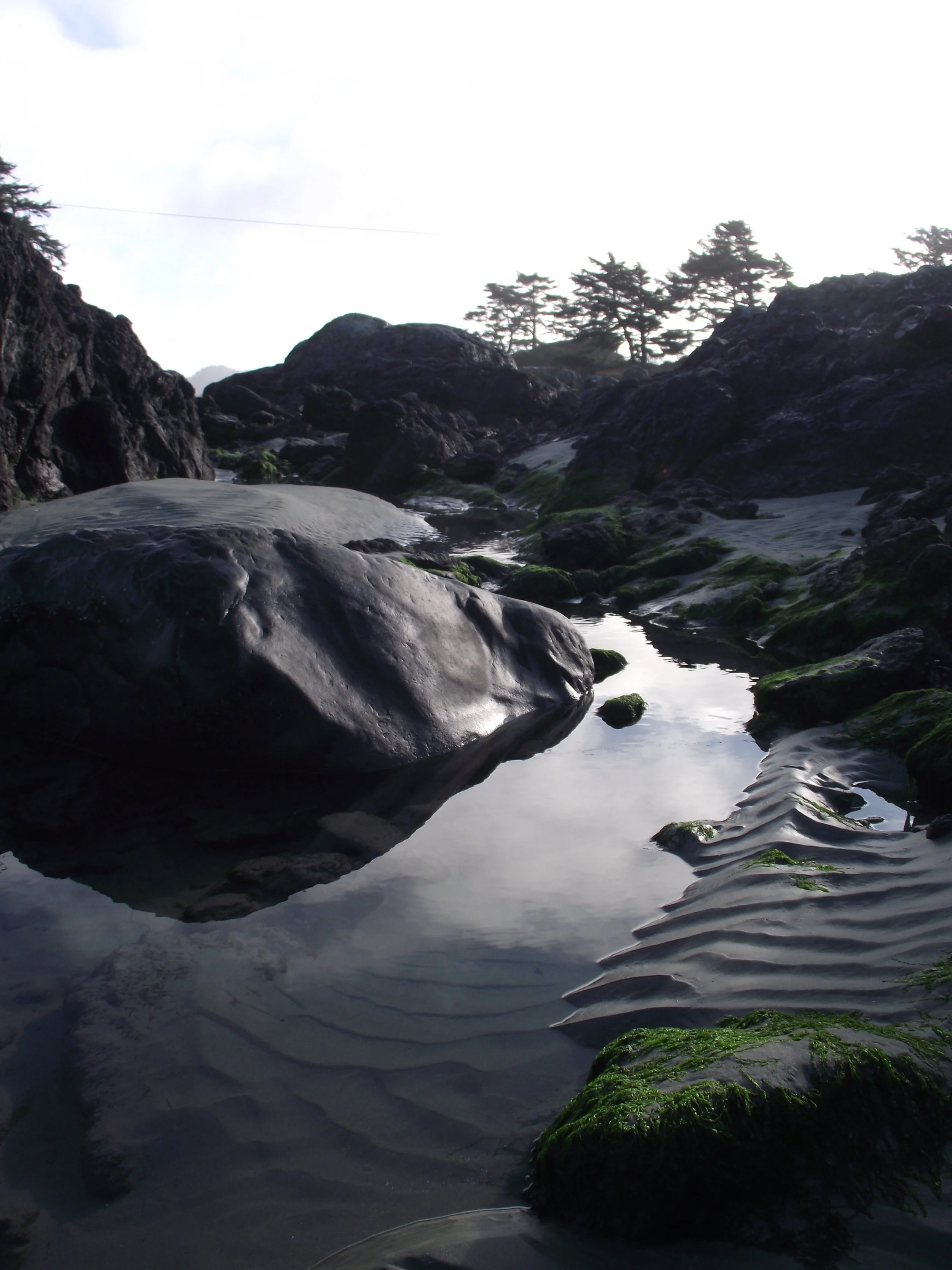 DSCF3406.jpg