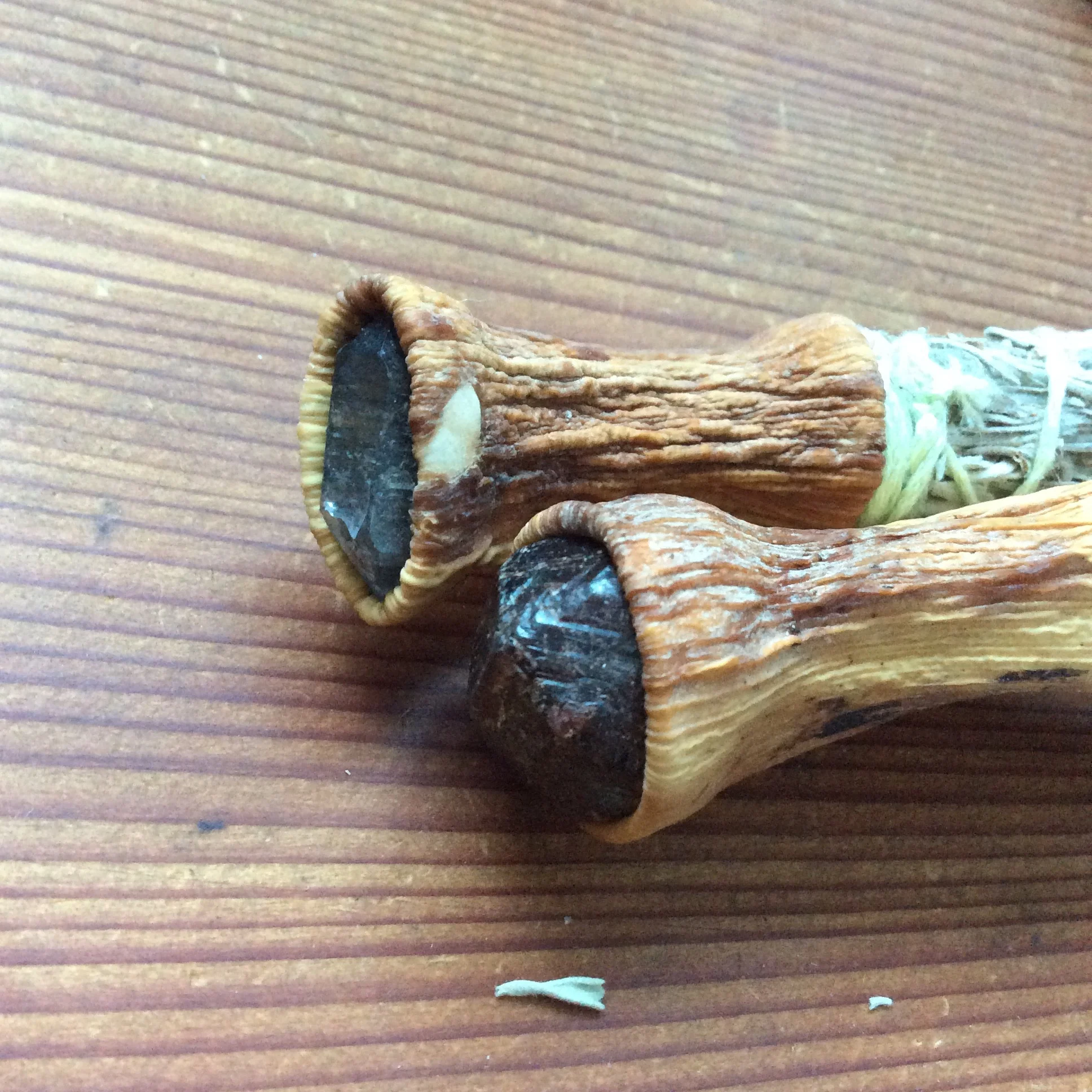 10686889-718E-48C7-A738-CE0D29489EEC