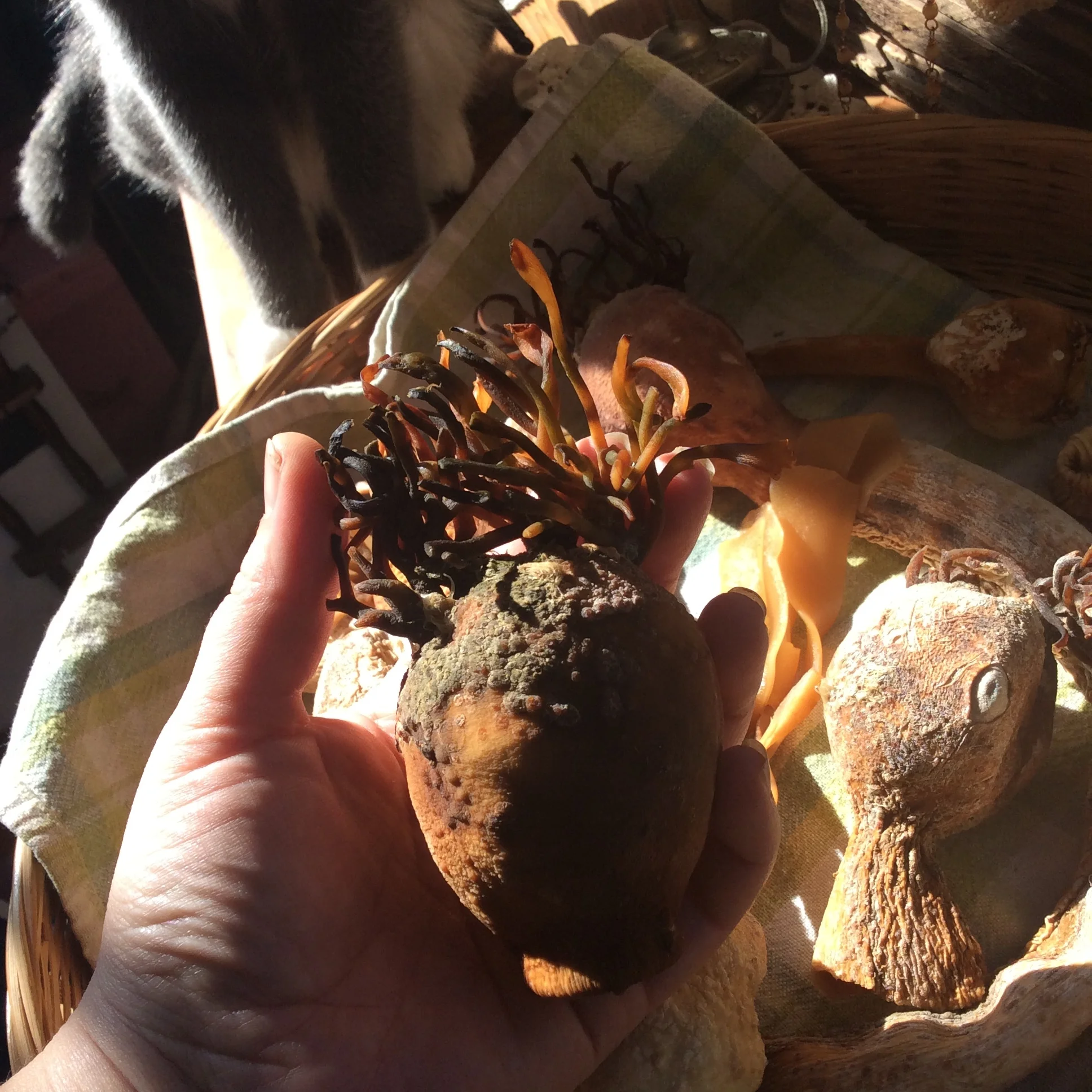 88FAAD84-CB68-4A02-A6AF-67963CBF76C0