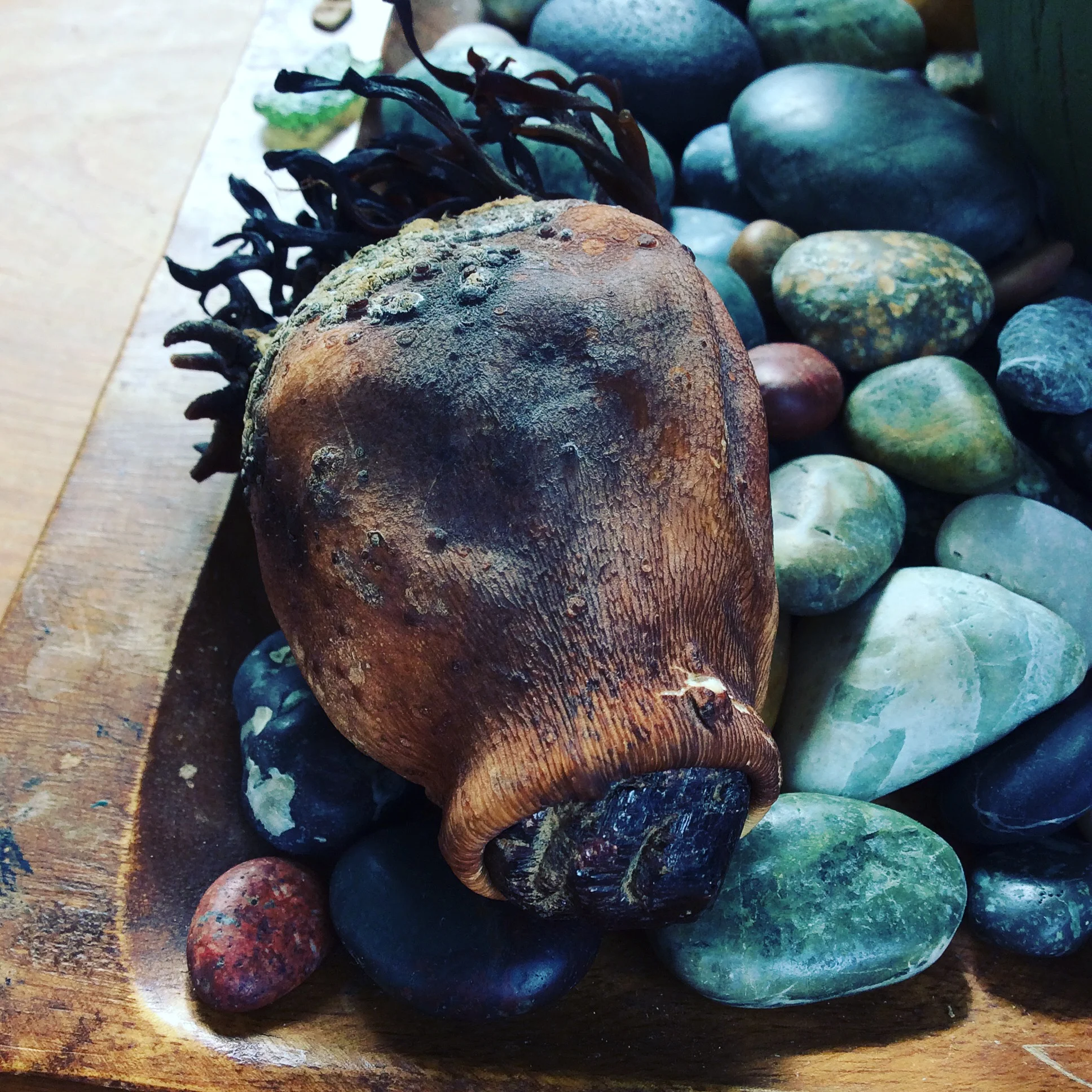 2E1C47CF-FDEC-4862-865C-7667A971E7E3