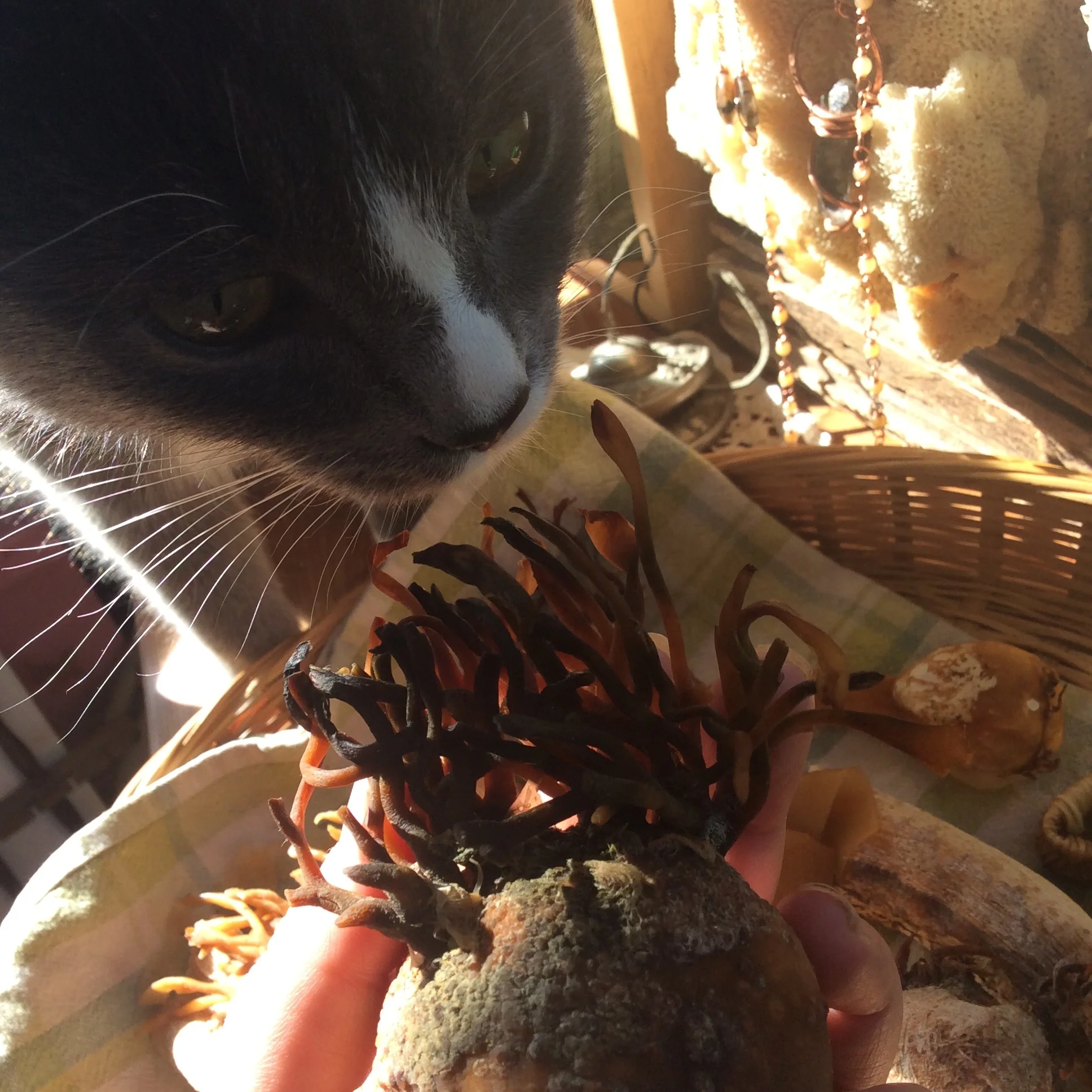 71020C95-7F73-4272-B08F-5B0156EB7797