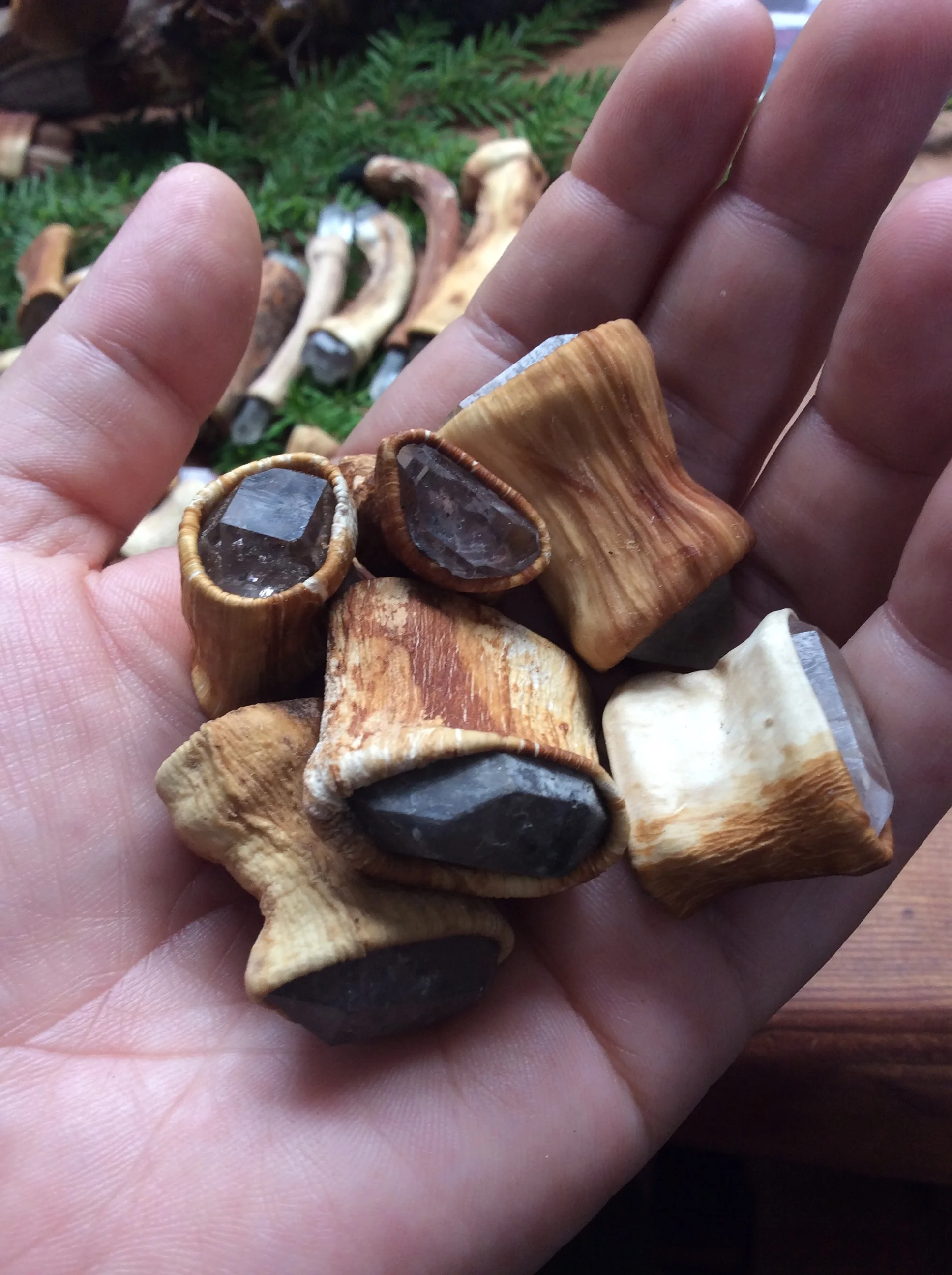 F06490C2-B781-4F90-8164-8C89D7DBE5C4