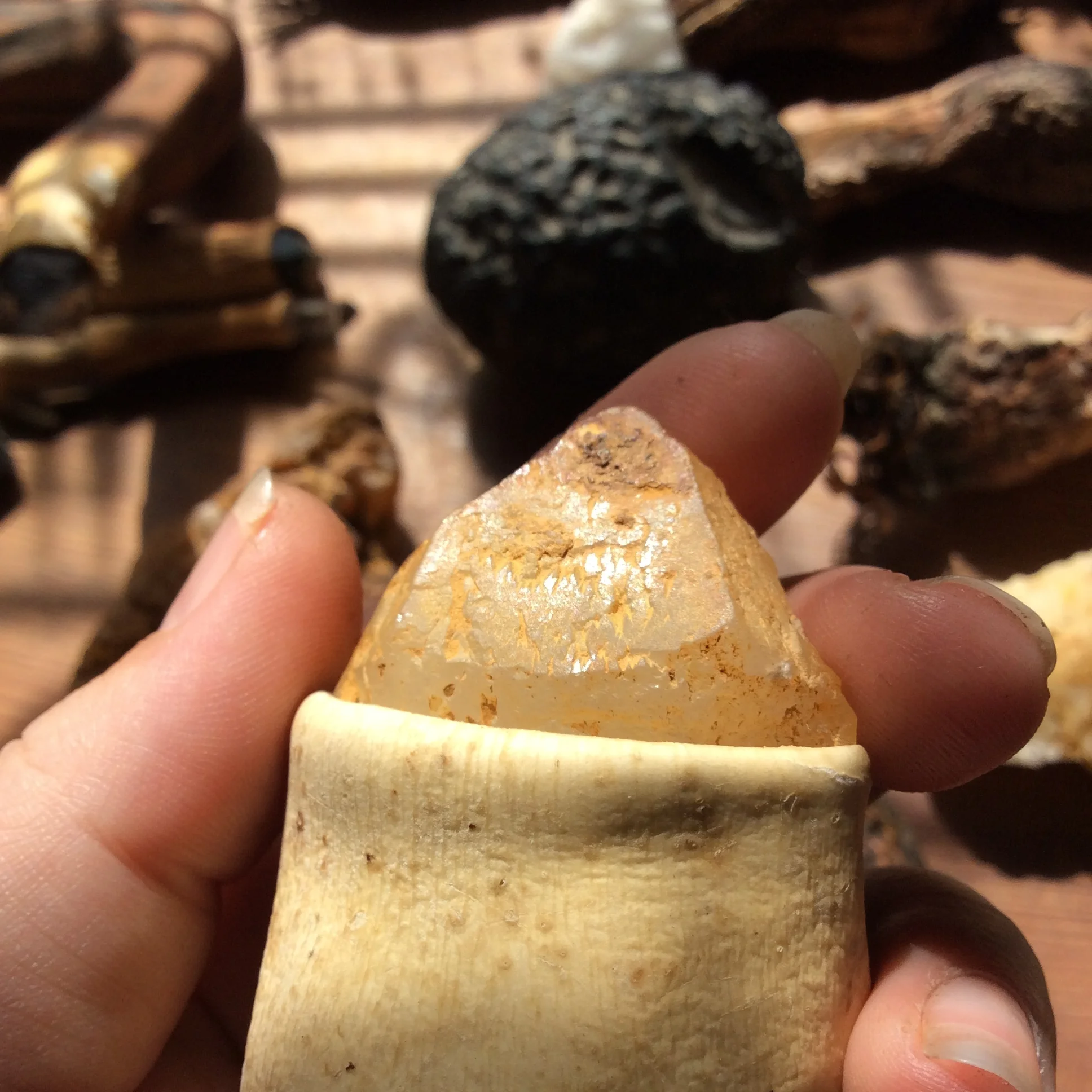 EE68CB8C-DD60-4C14-8910-23B158FD173F