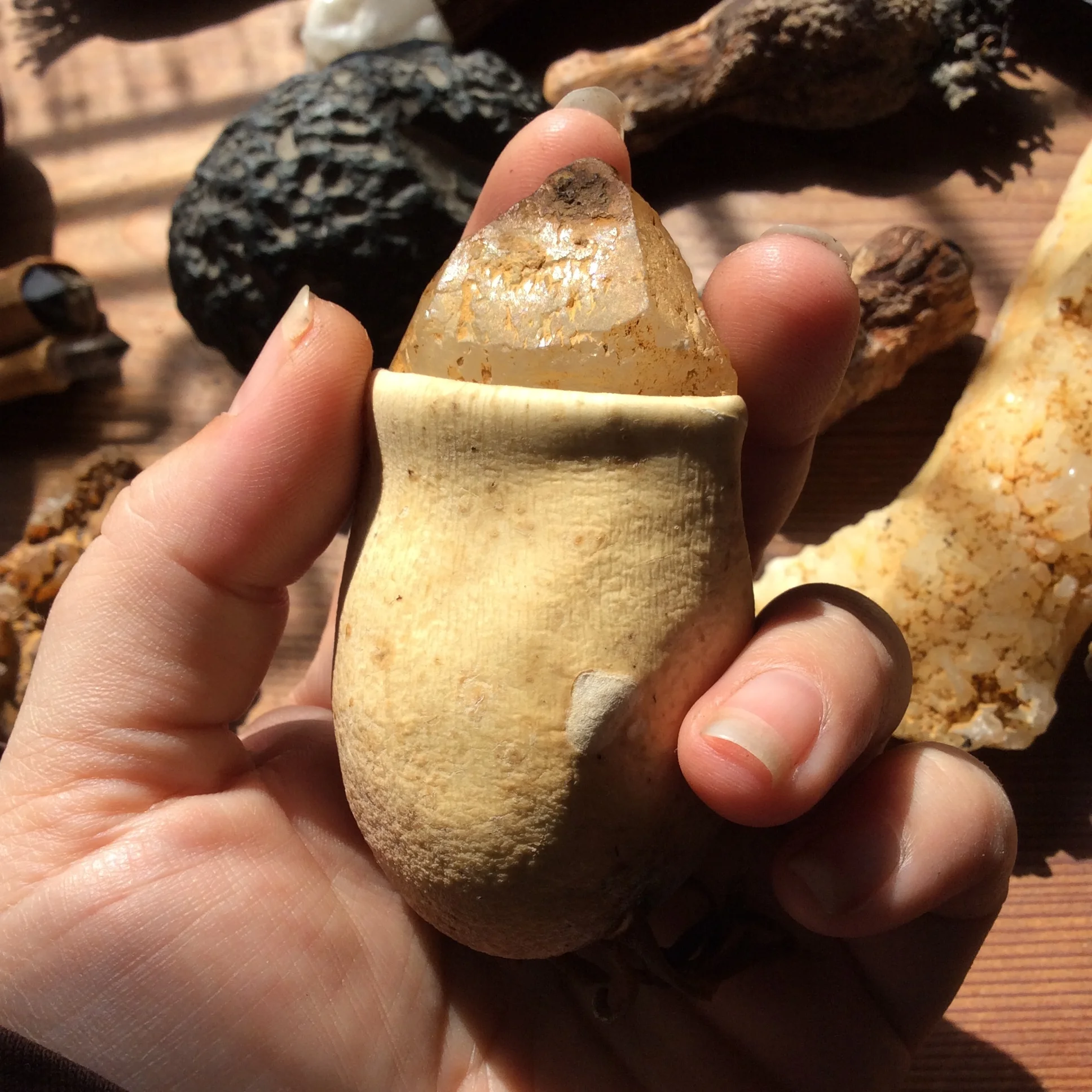 5F120058-6F44-4466-BF44-906C24B5342C