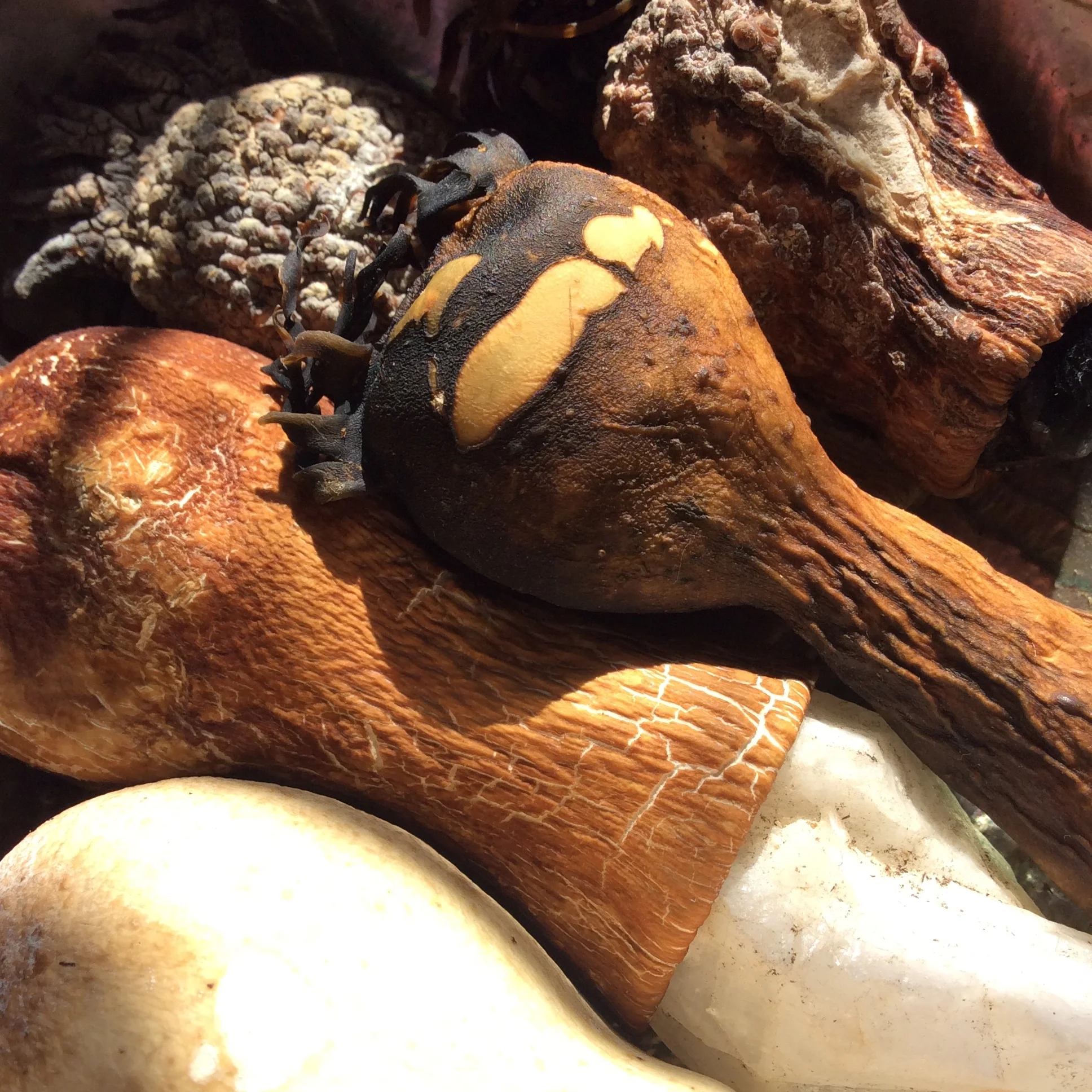 EC043DA1-3793-47CB-99DD-D13C7C349F2C