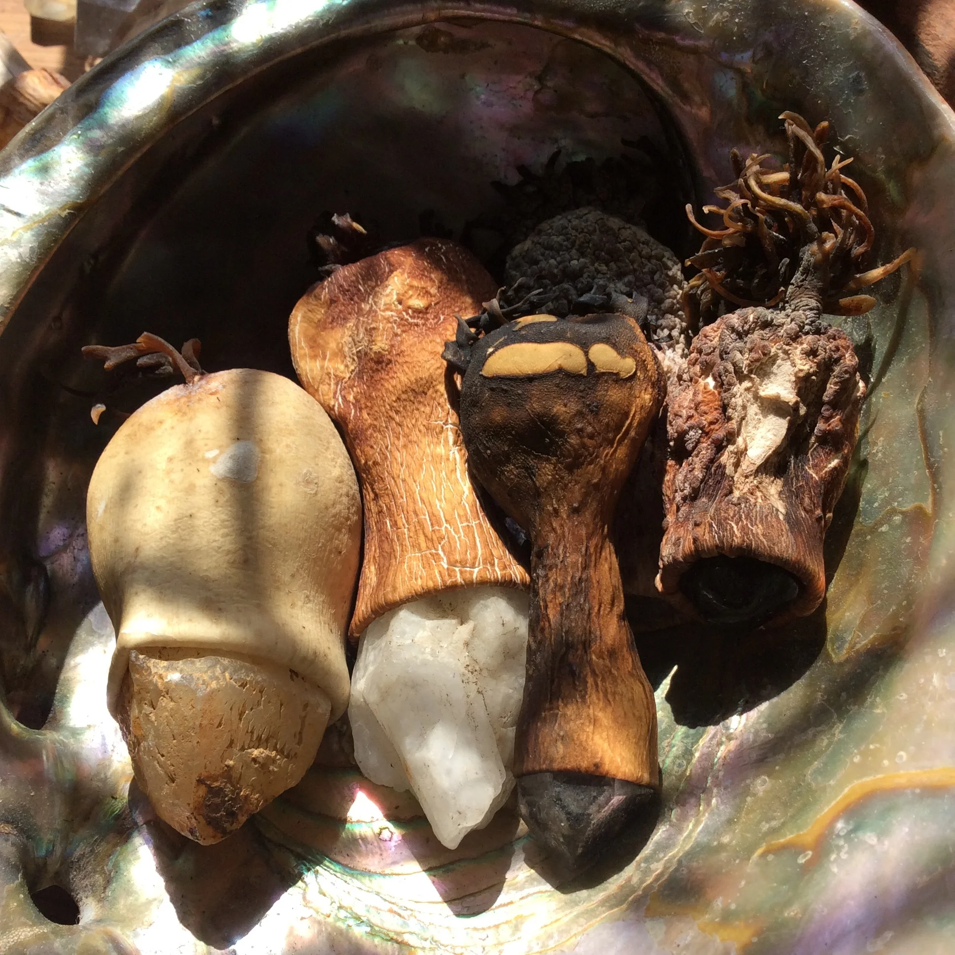 083C6138-6285-4FA5-8E9E-8E1A8F6EBC9D