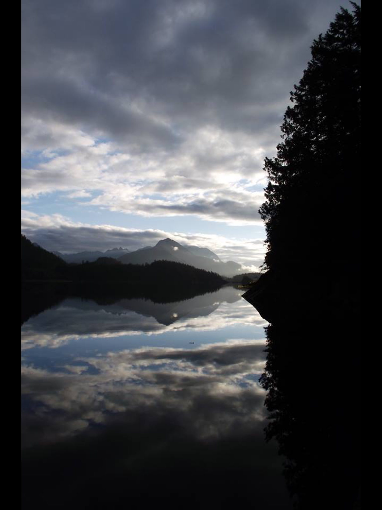 1A9C55E9-30F9-4621-B903-DF5739812E1E