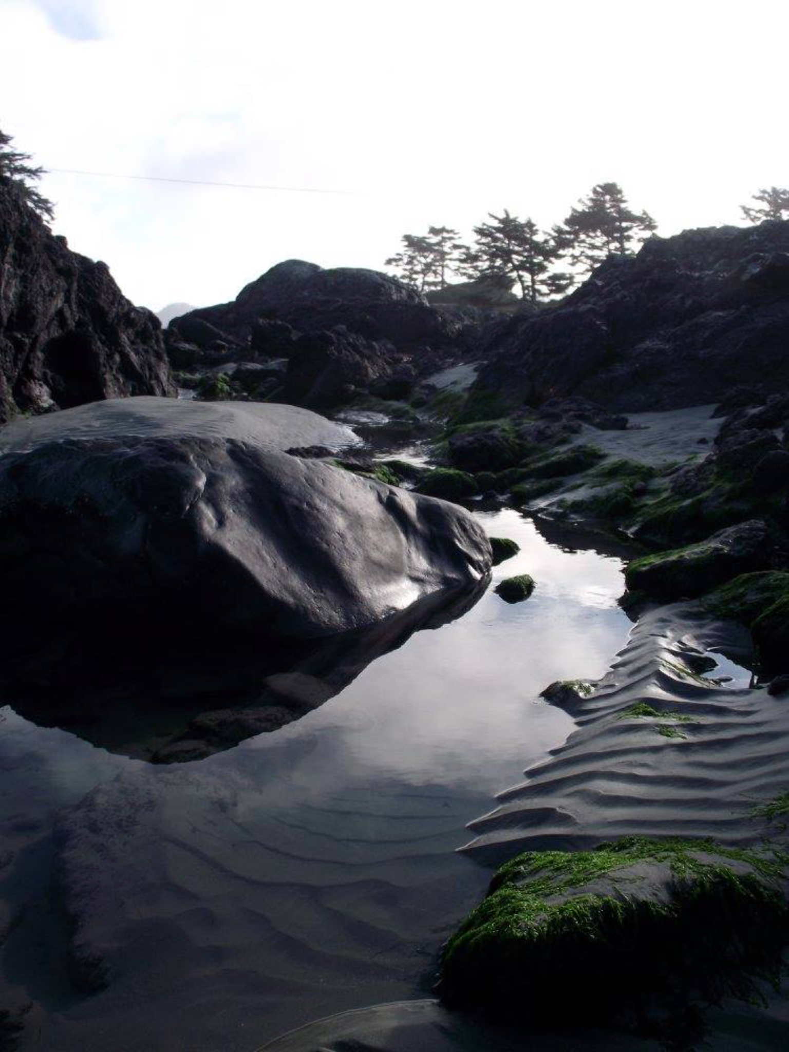 8B702018-FECD-43BD-8409-62D855A90FCE