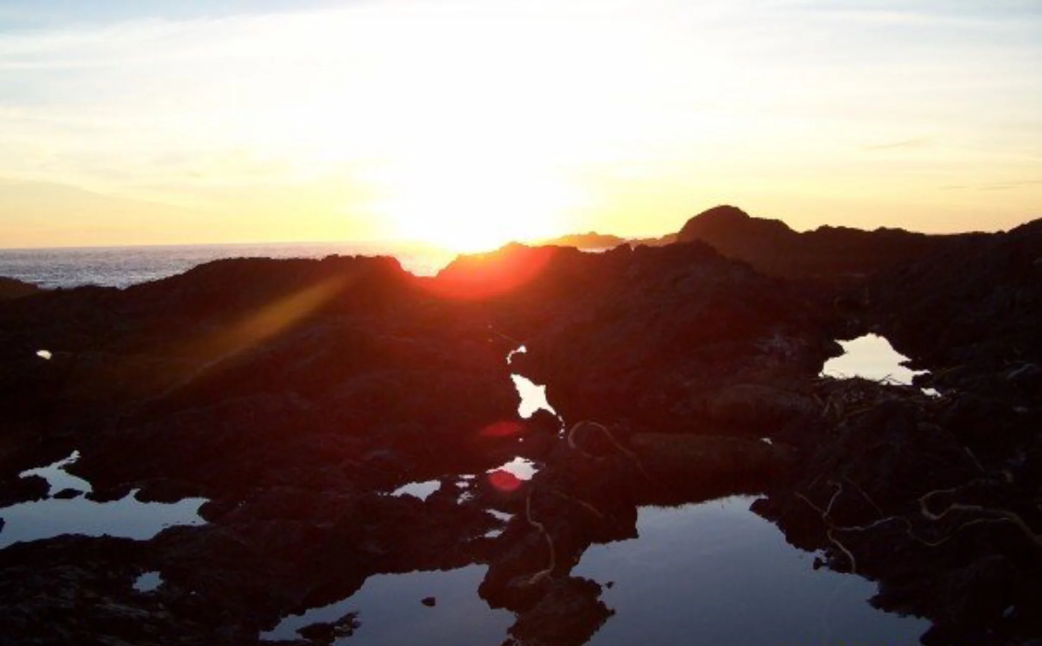 0B99DFD6-E539-45FE-BE1F-B966692D4EE2