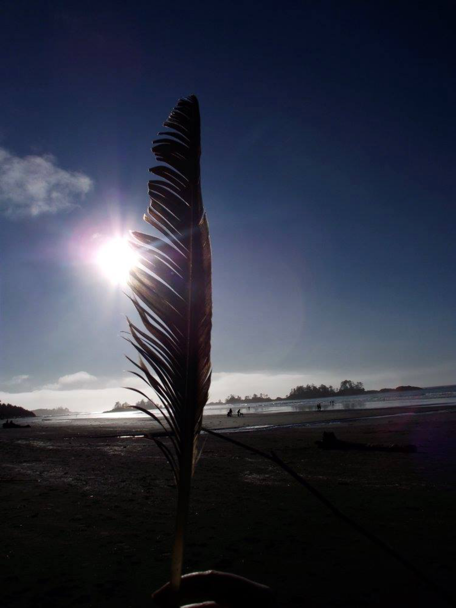 7185A7E3-FF3D-4FF2-9B02-7A94D9979016