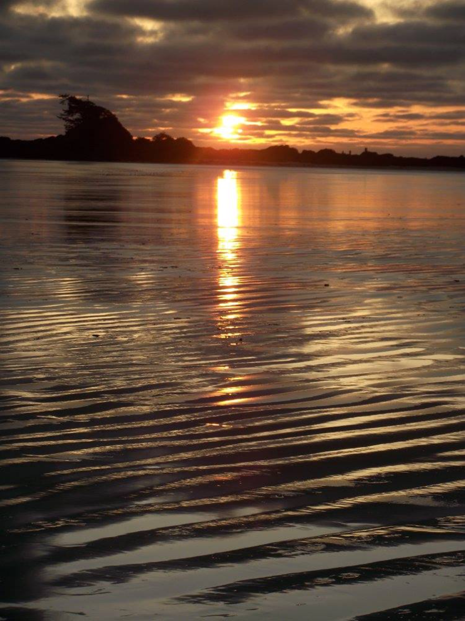 DA693CFD-D60C-4750-B5AB-584EE1A76AC8