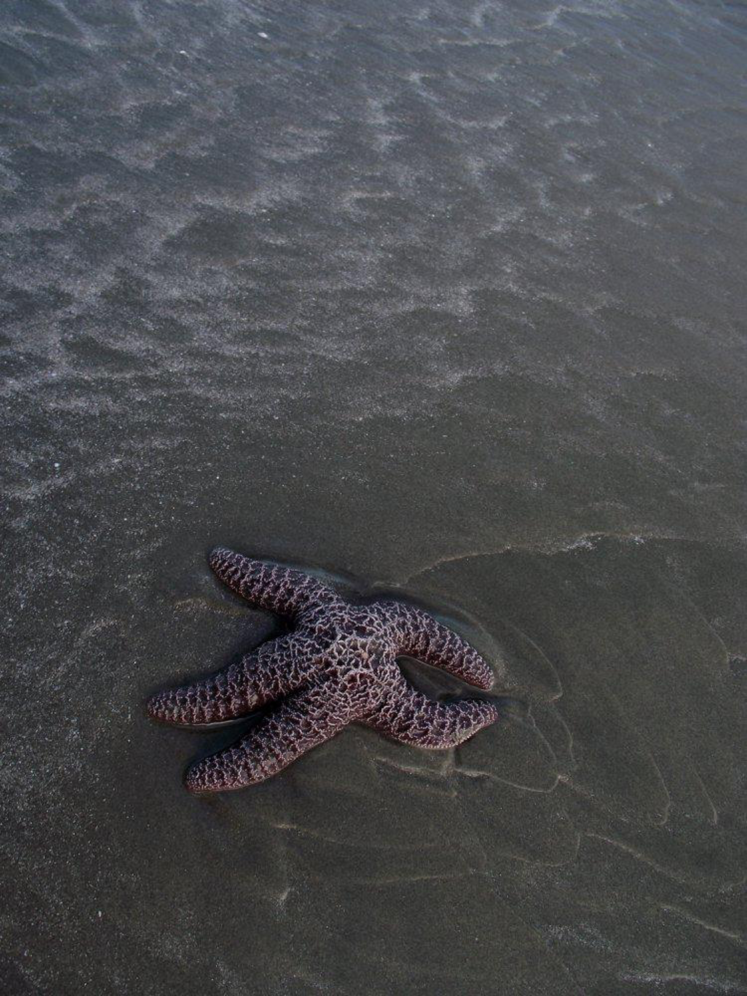 B994F899-86C5-4669-BFB7-7FD156242715