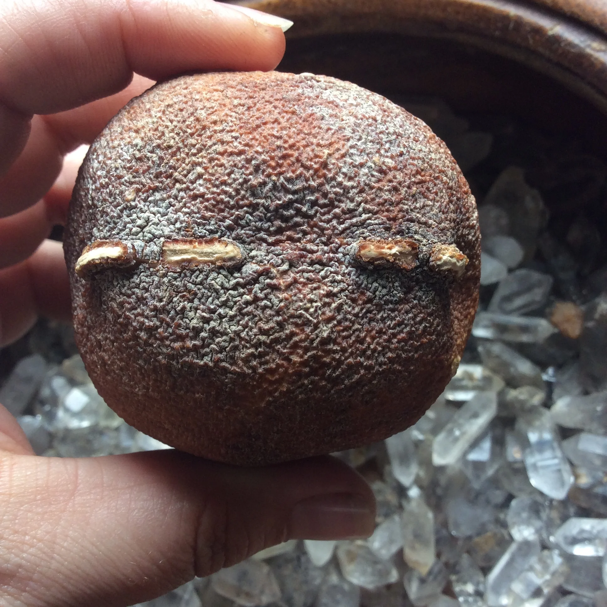 30B3403A-5BC1-4B5C-8C7C-B1A70F5DDBF1