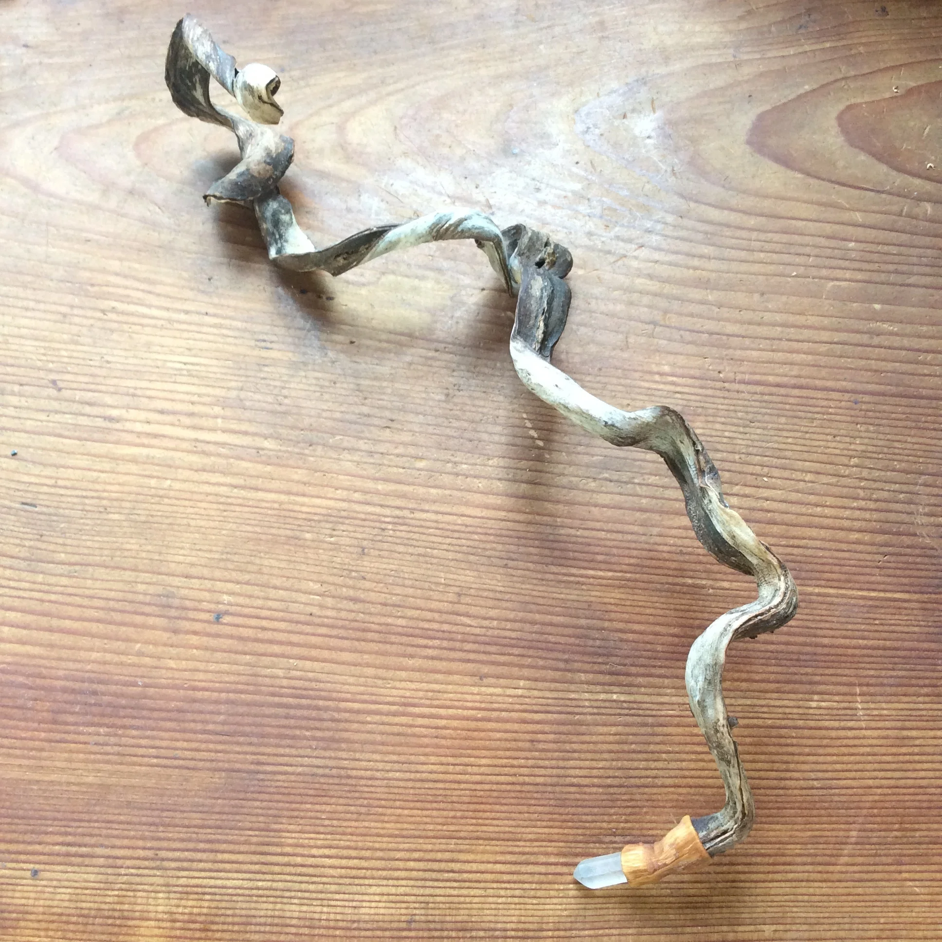 9F7F6111-C4E7-46DB-8B8B-2C069335A51E