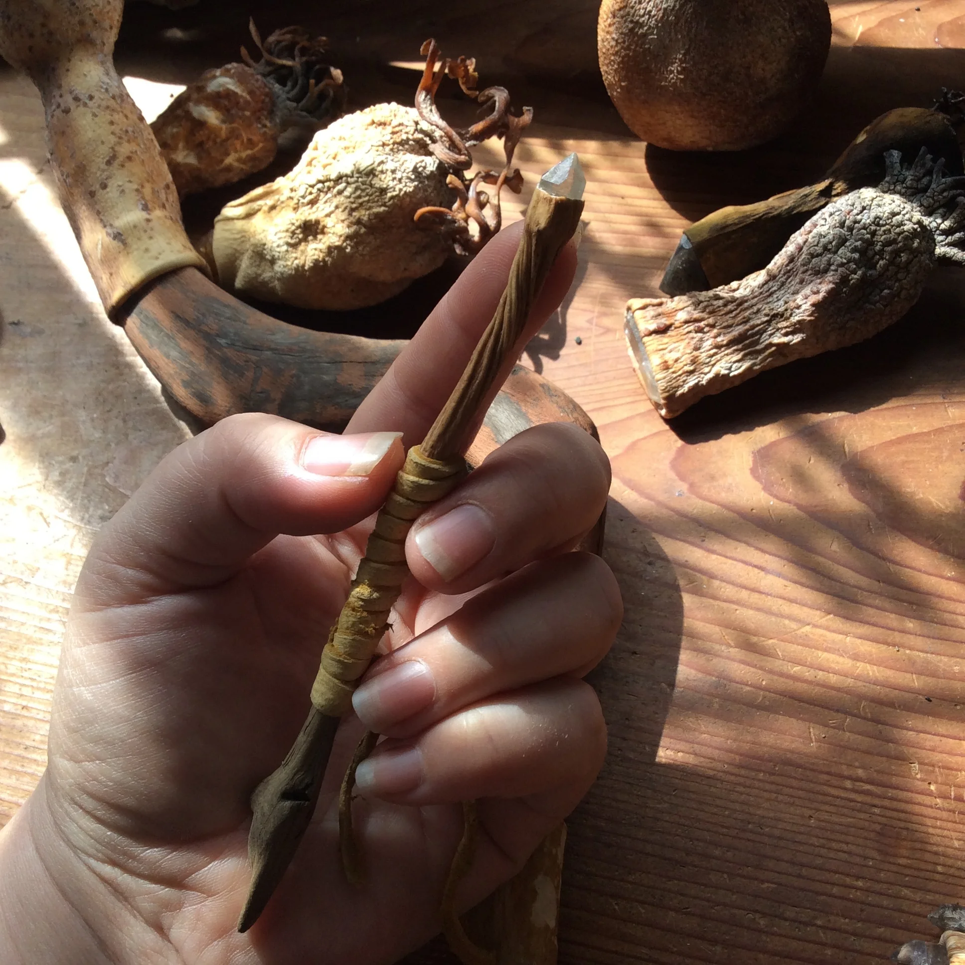 A4076698-86D6-4046-BD07-7774F635830B