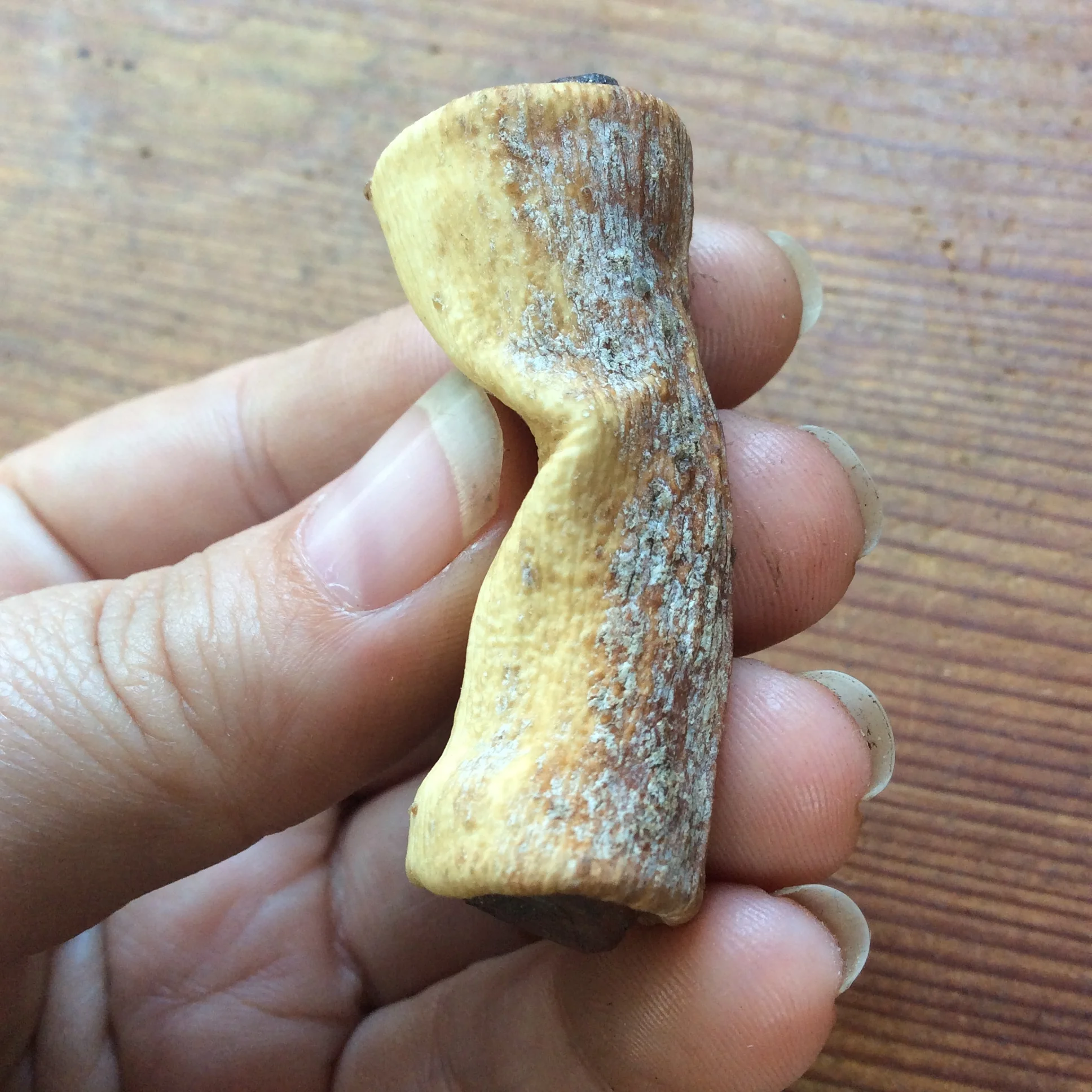 13964AE9-A204-43C7-87EA-7CD895E9033D