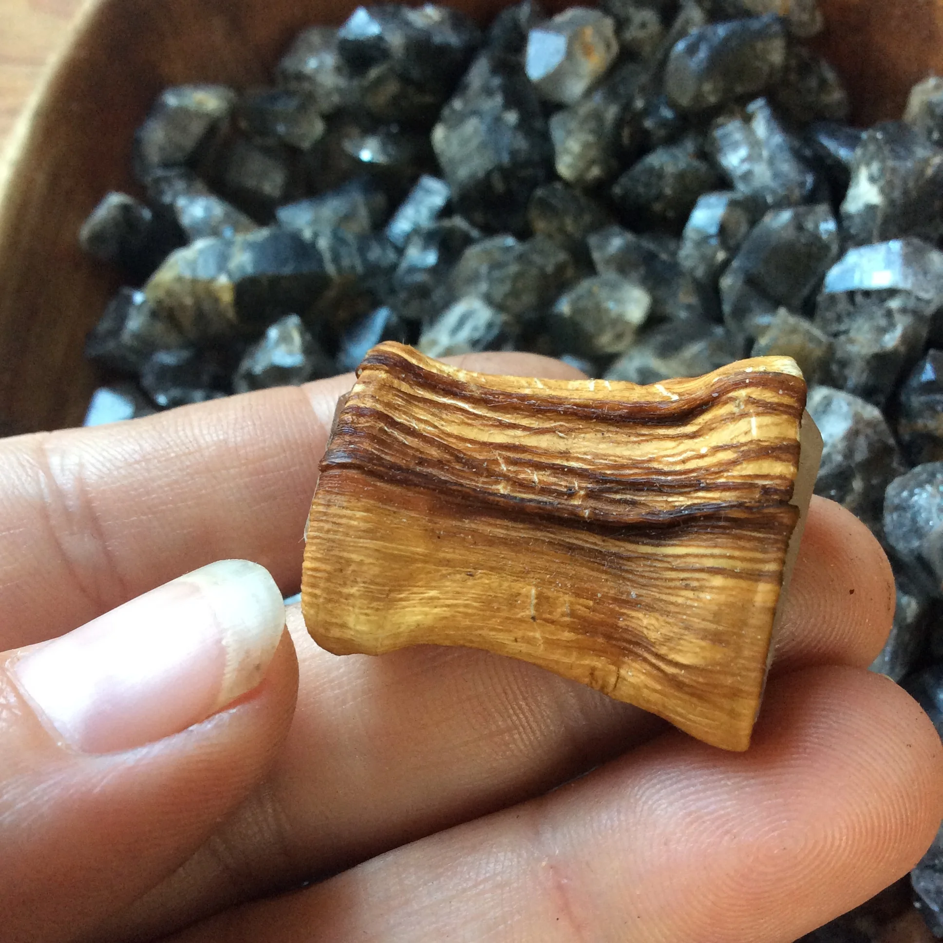 2615ECEF-064E-4EB1-A740-E410E088FDF2