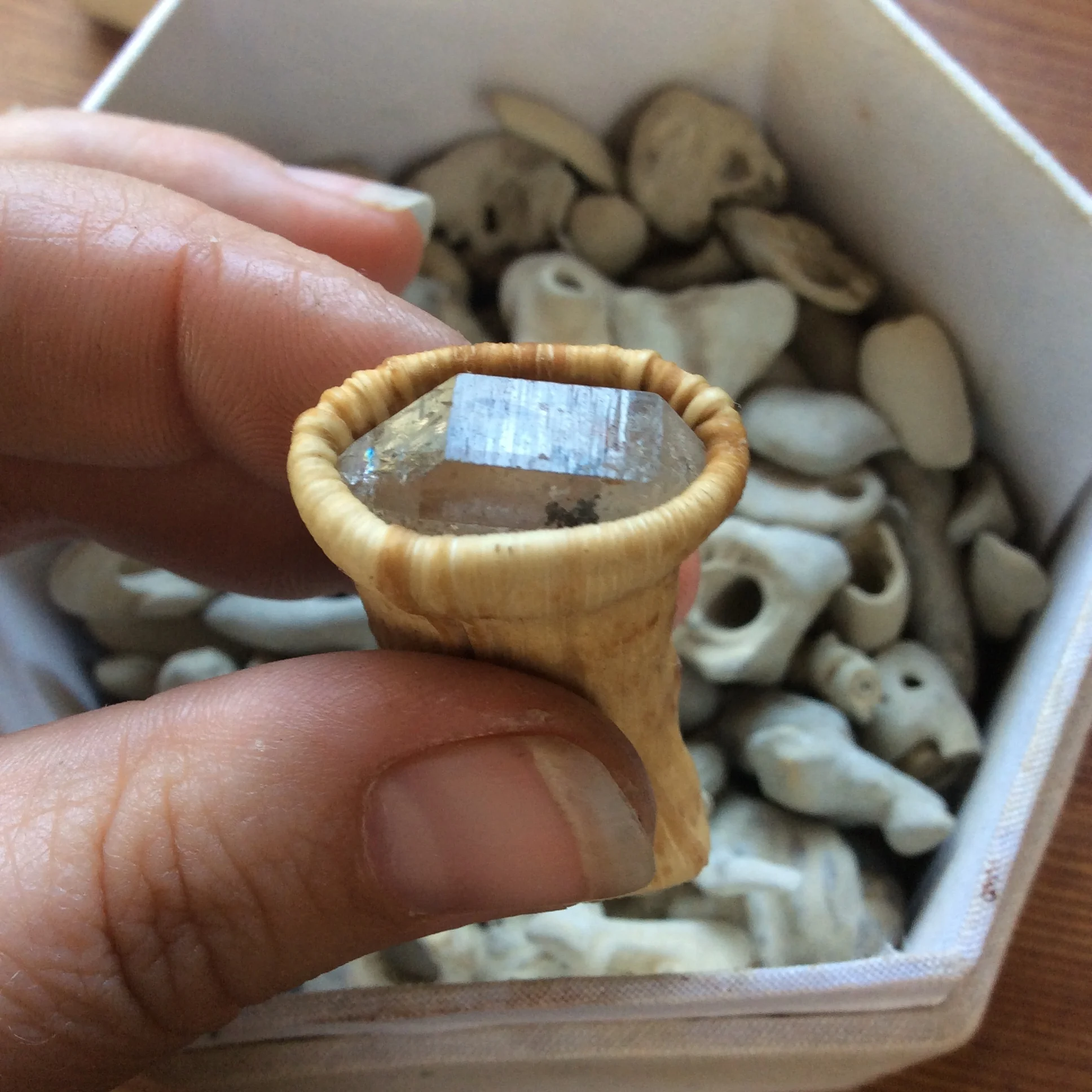 86FAFE31-7A4A-49B2-B1BB-3C676B982D1C