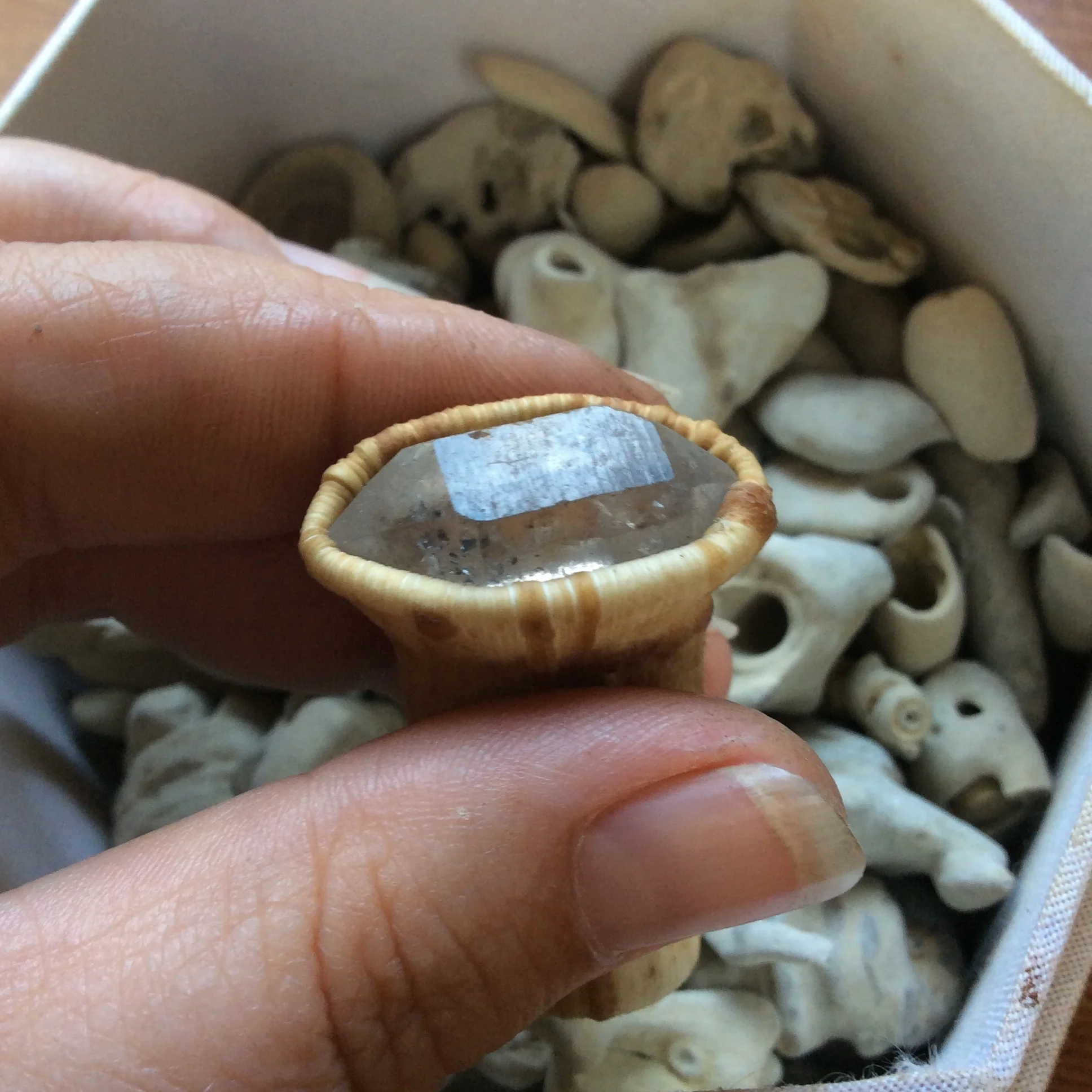 FB764889-5CAF-4057-93C3-67FC0F0A3F32