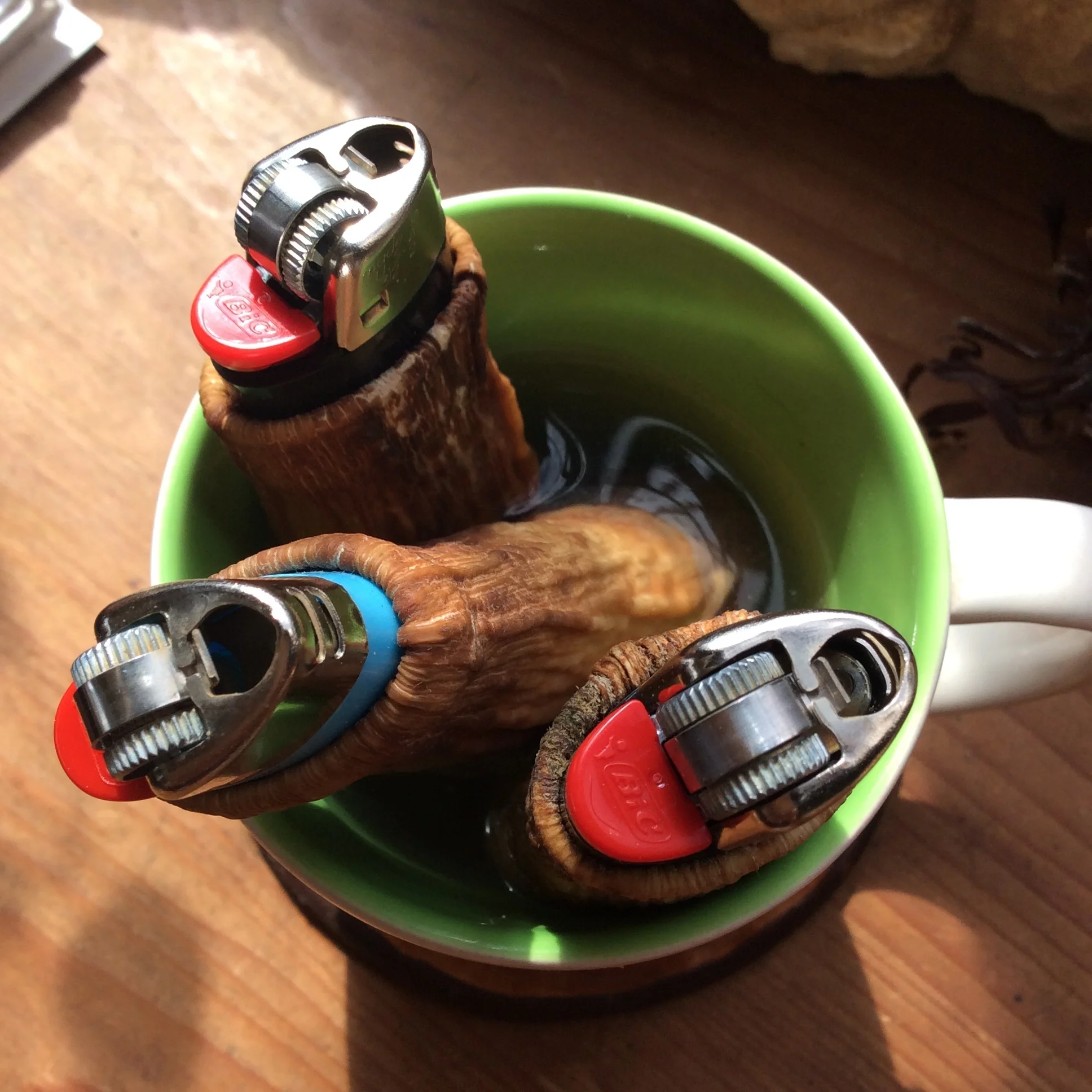 1C1B0071-E246-4661-823C-484B7C1153D3