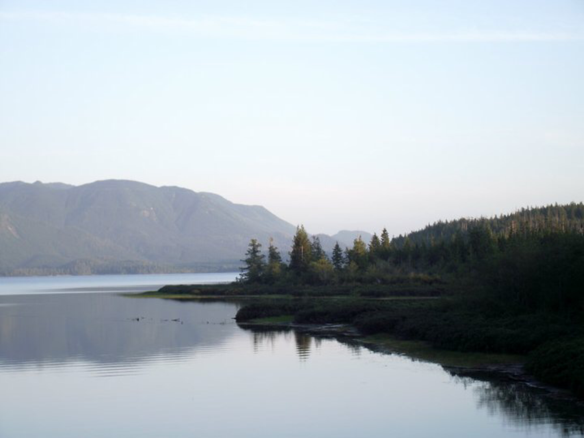 F8475688-103C-46BE-807B-1D0AB7D167DC