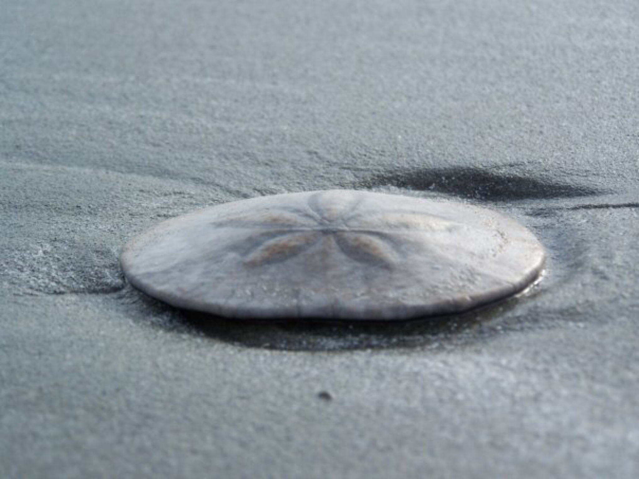 C1CD5669-A461-469B-855A-D4F6A98AF4A2