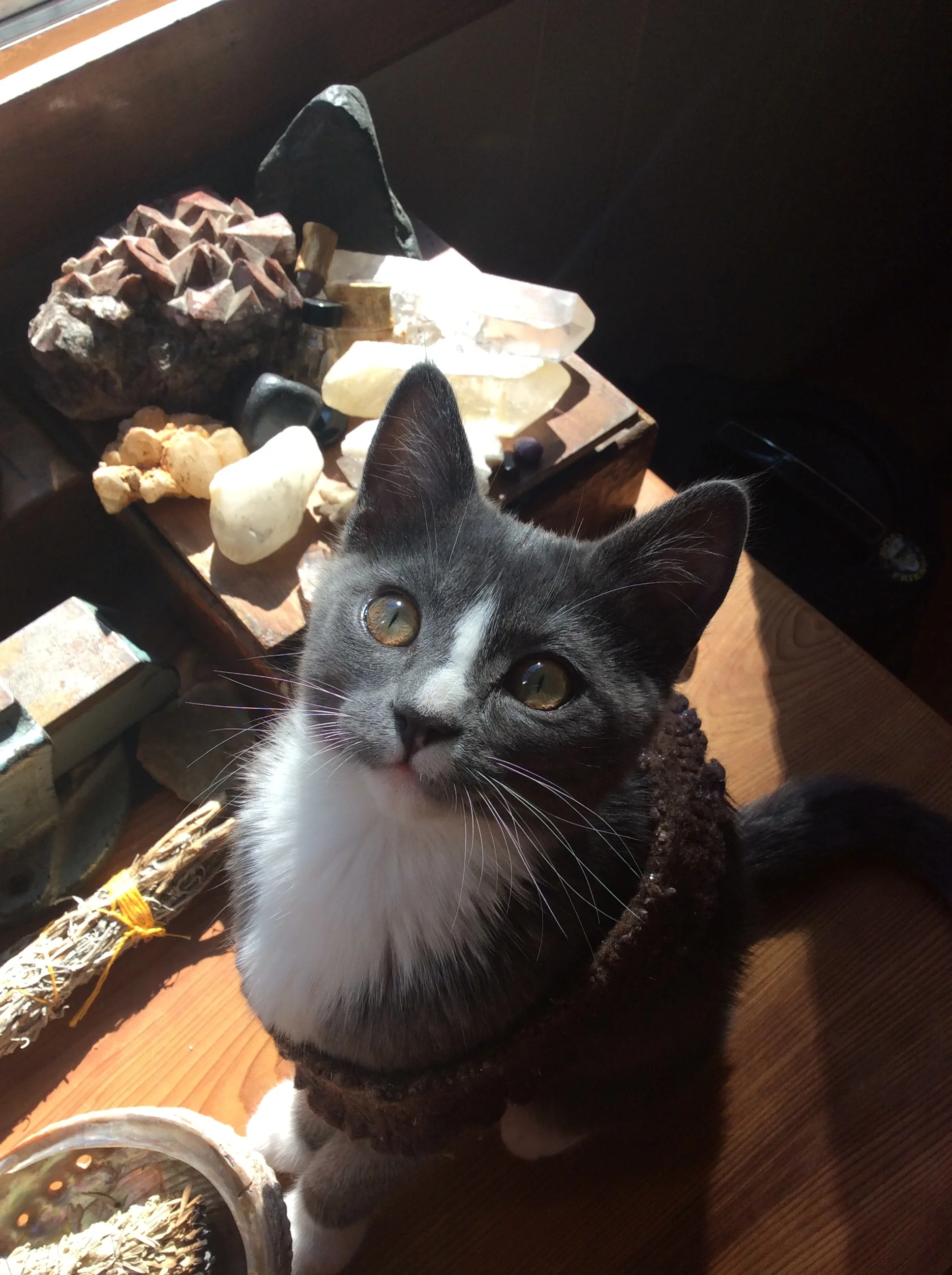 F3A2D4B2-73B6-45C7-A252-471FD053B4A9