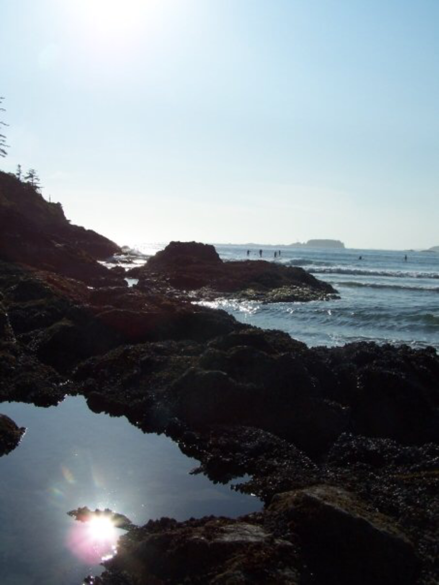 E8A587FD-B4FD-434A-BEF0-9C7E01B8E0D6