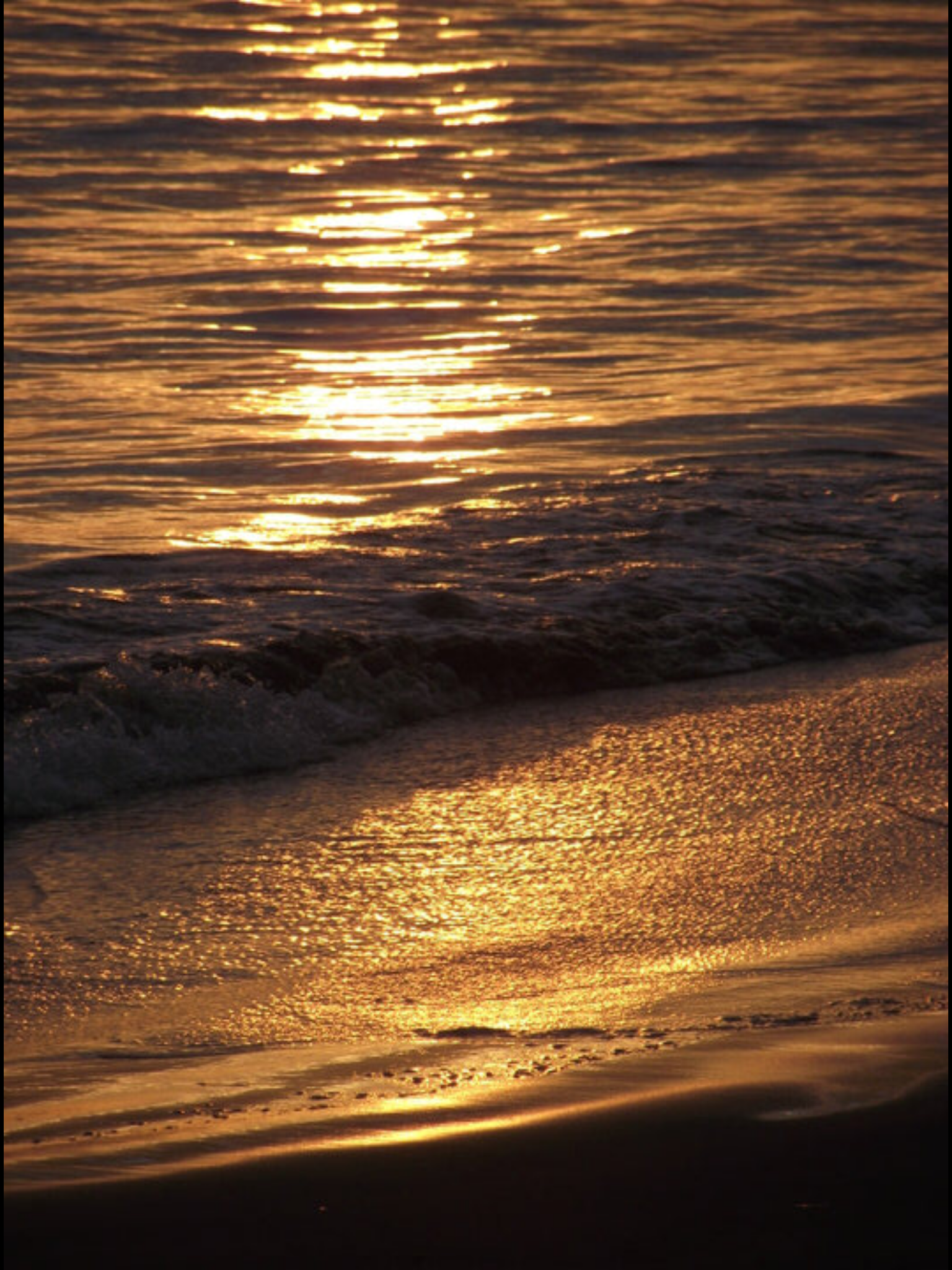 20E0628B-0441-4330-80B5-24A39A77F9E4