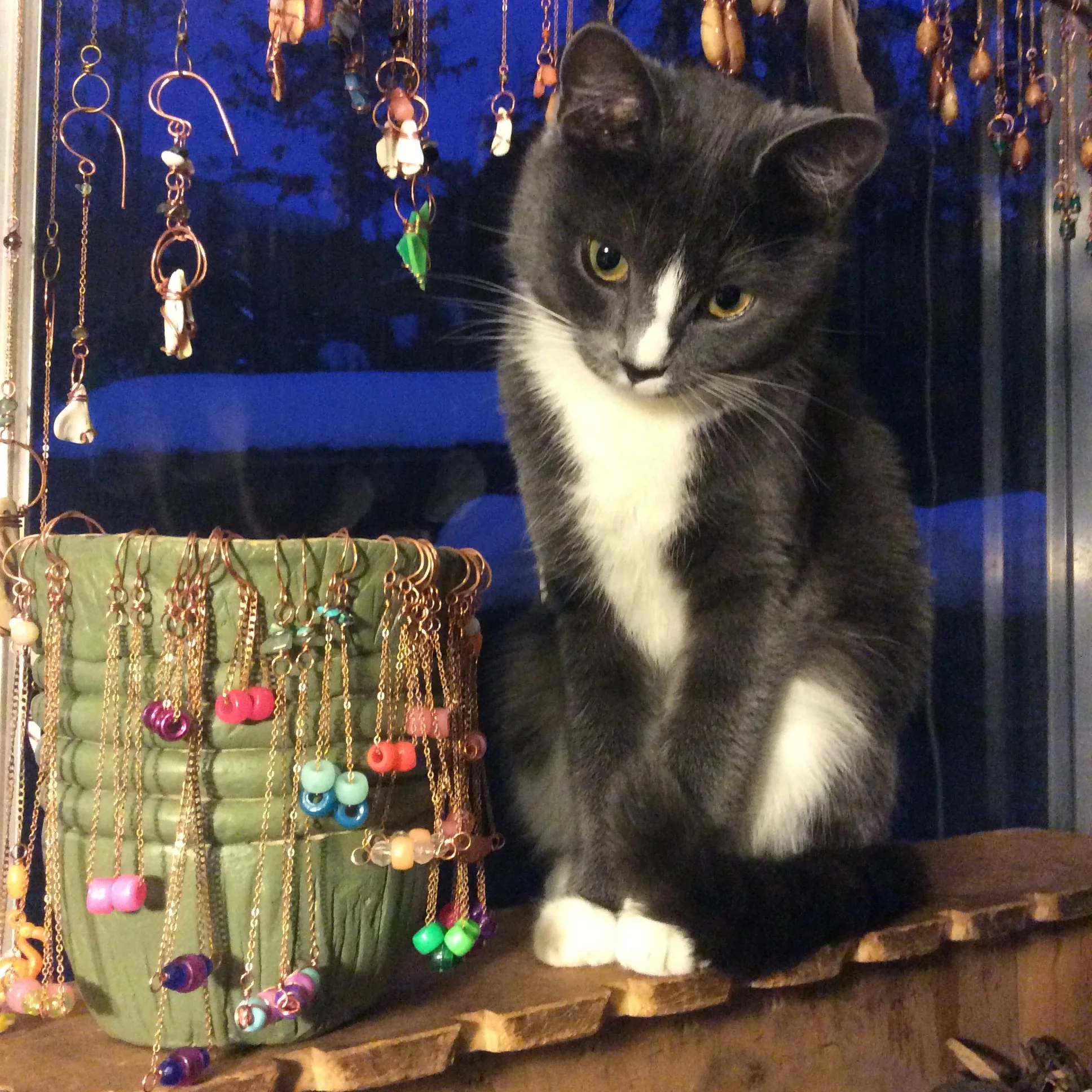 DB4AEF88-5E12-4832-97BC-29E4421AD1B9